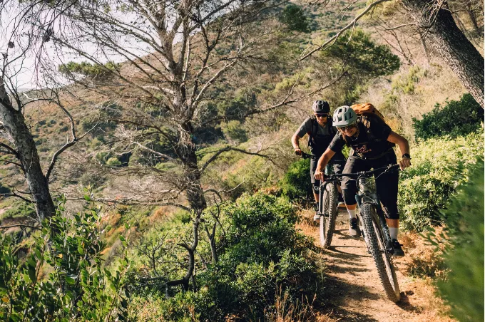 mountain bikes, bikes, cyclists, trail, outdoors