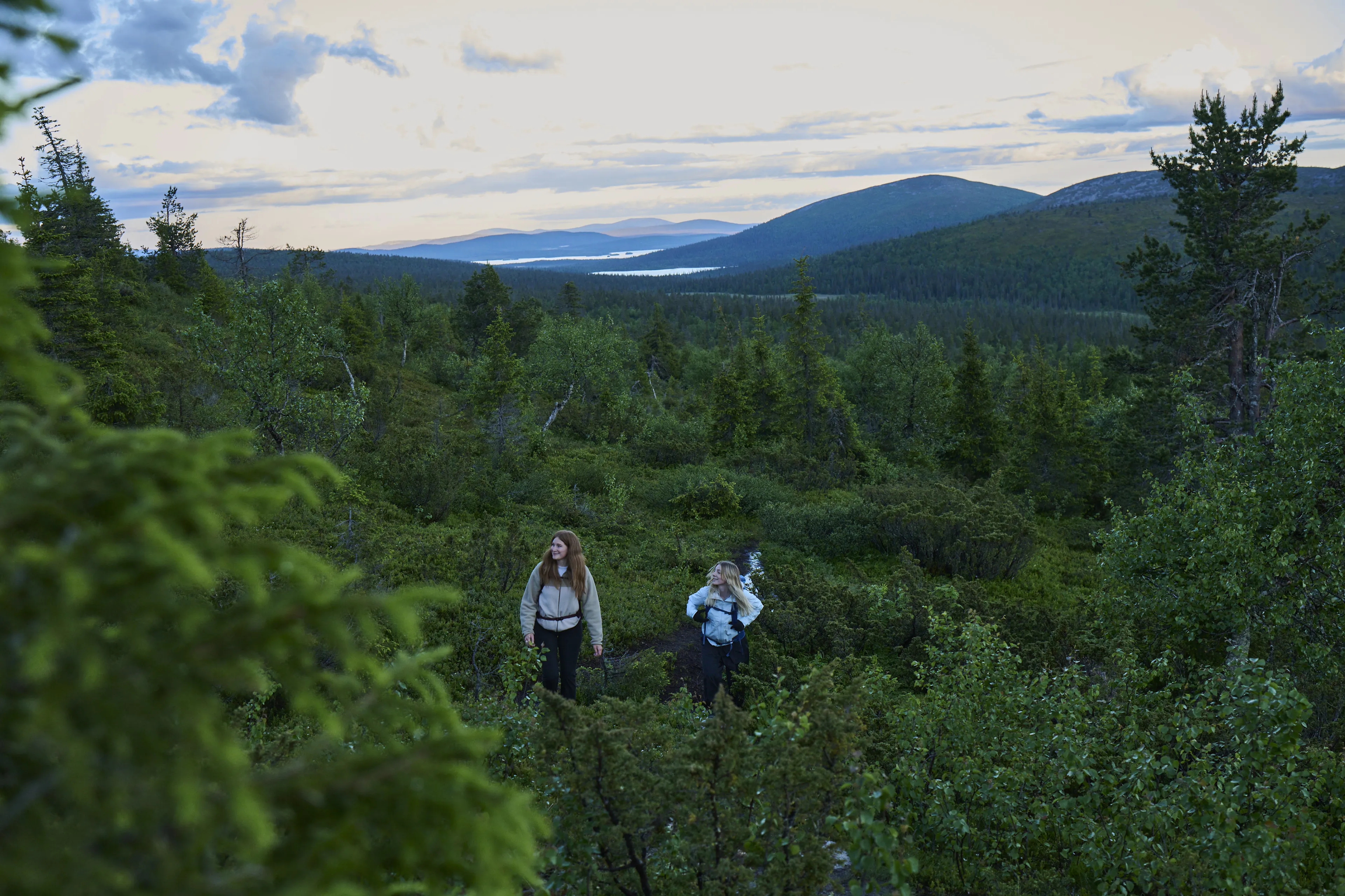 hiking, forest, mountains, two people, outdoors