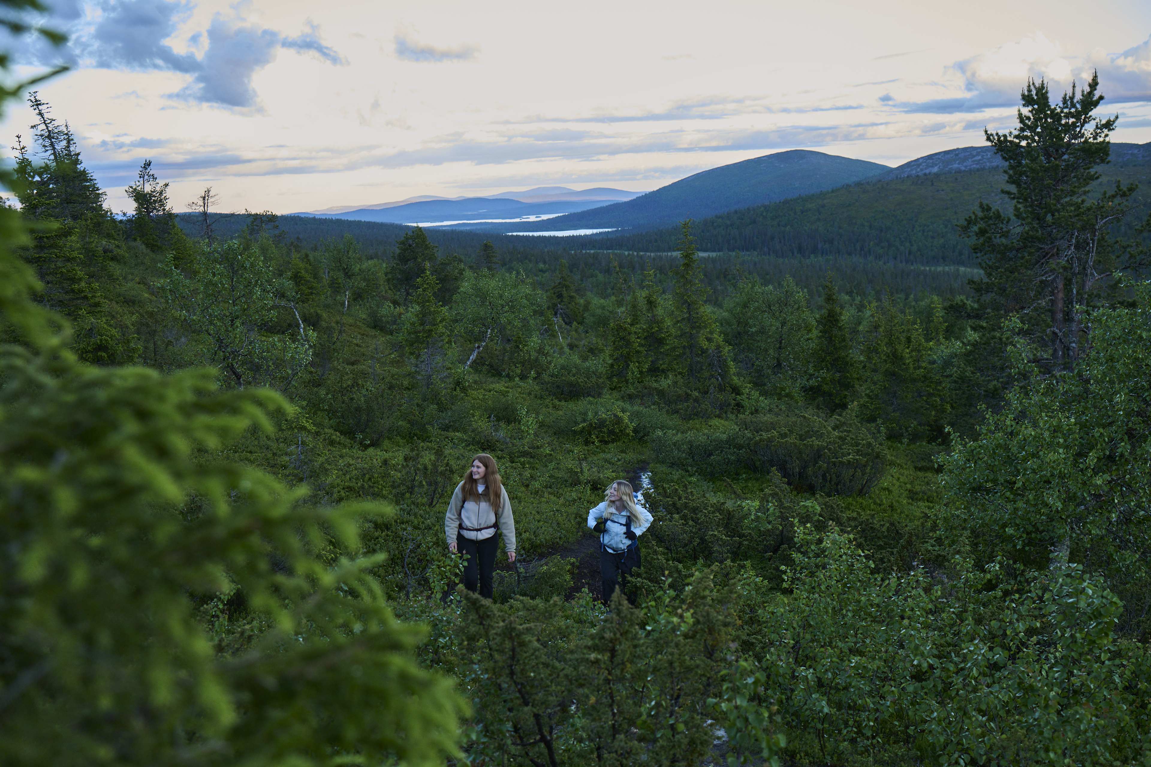hiking, forest, mountains, two people, outdoors