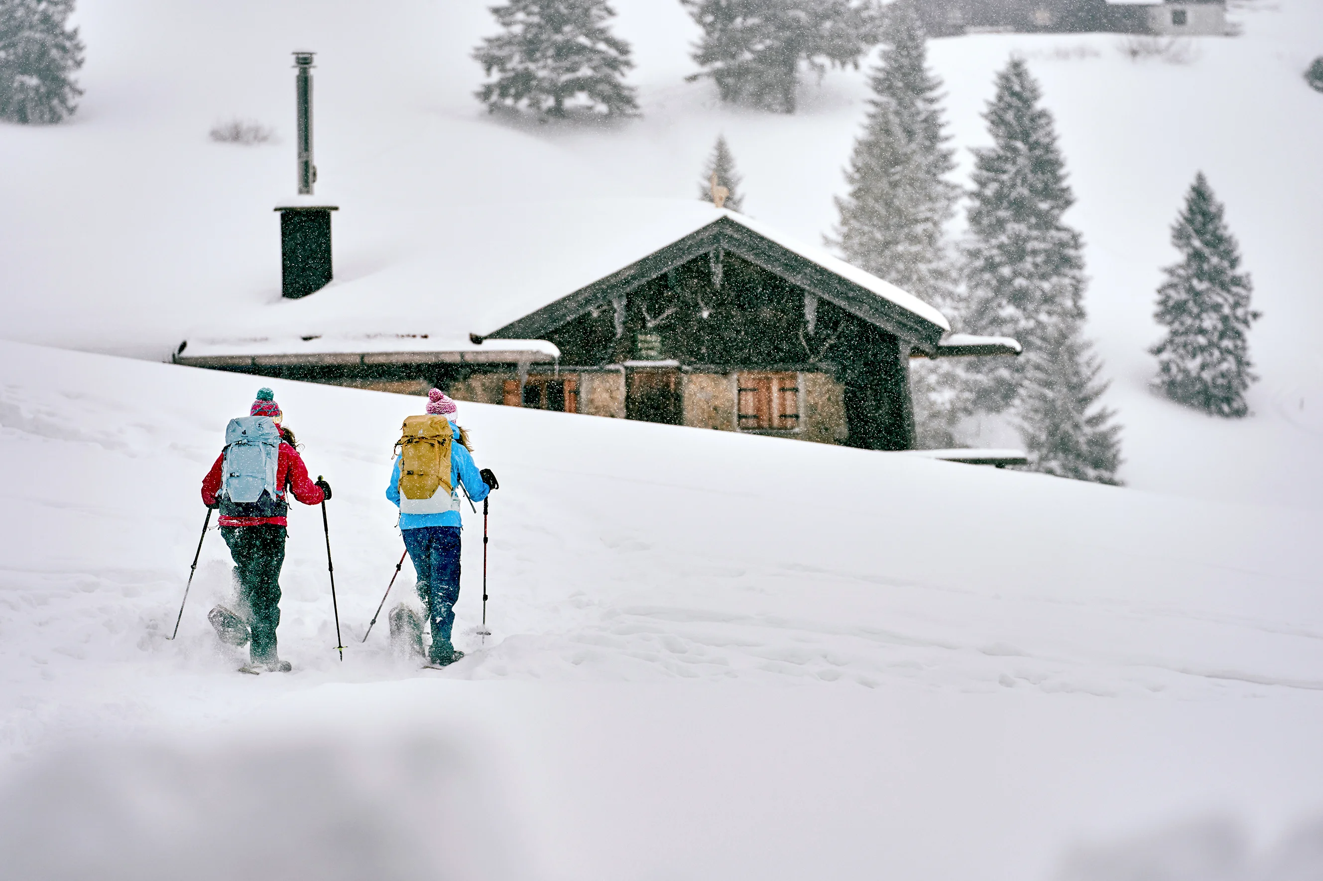 Sacs à dos de randonnée raquettes