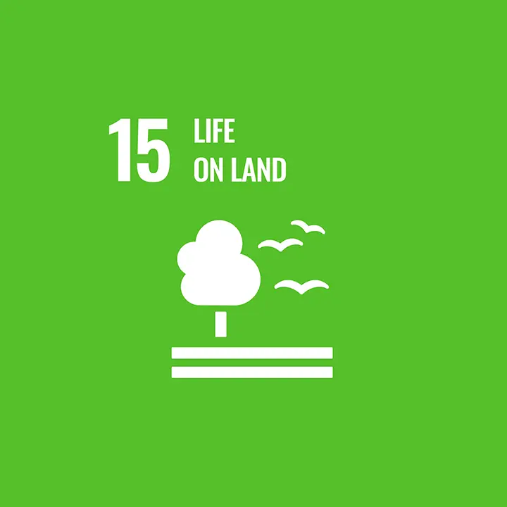 sdg_angepasst fr deuter_0010_E-WEB-Goal-15 tree, green, landscape, silhouette, icon