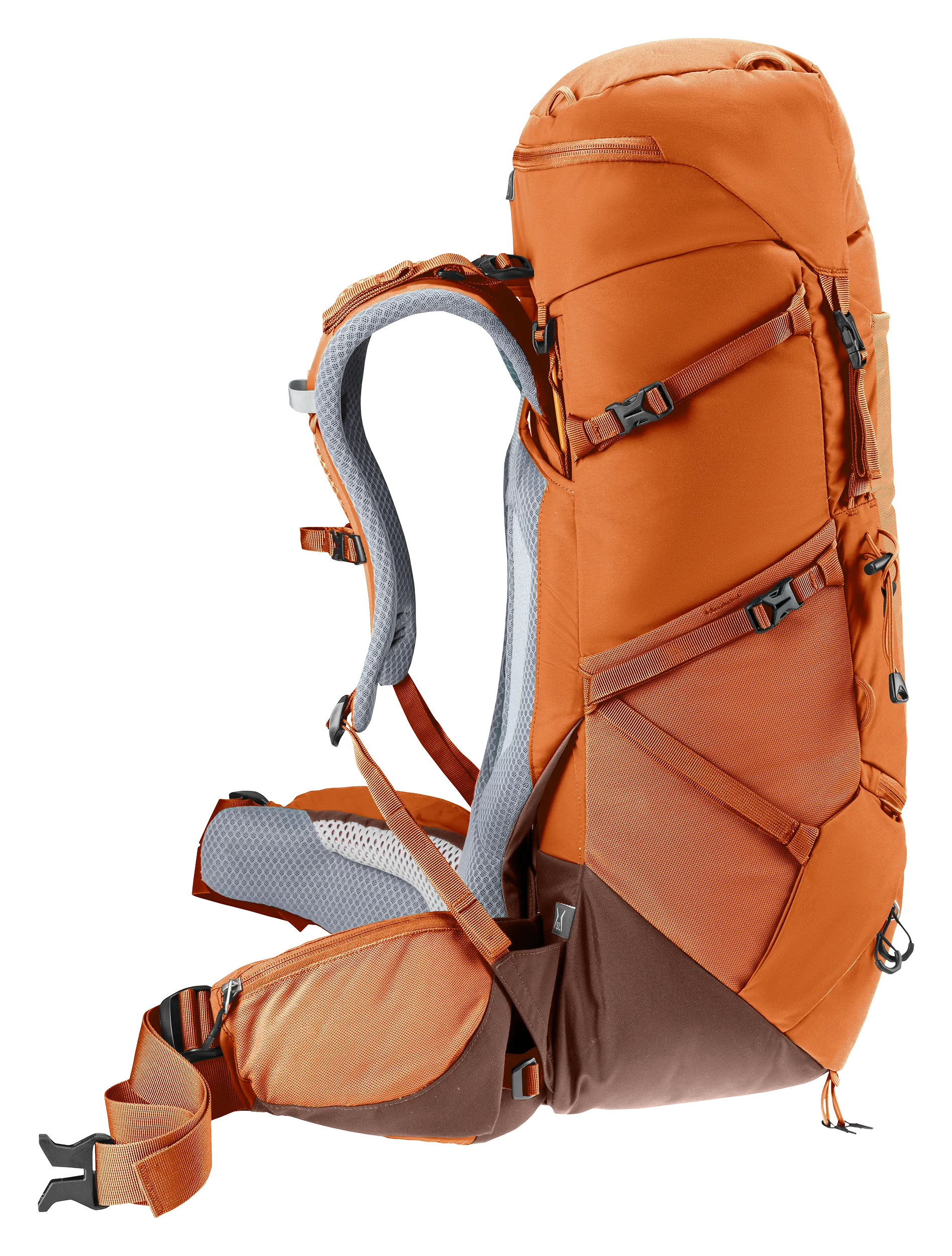 Aircontact Core 35+10 SL - Backpacking packs - chestnut umbra