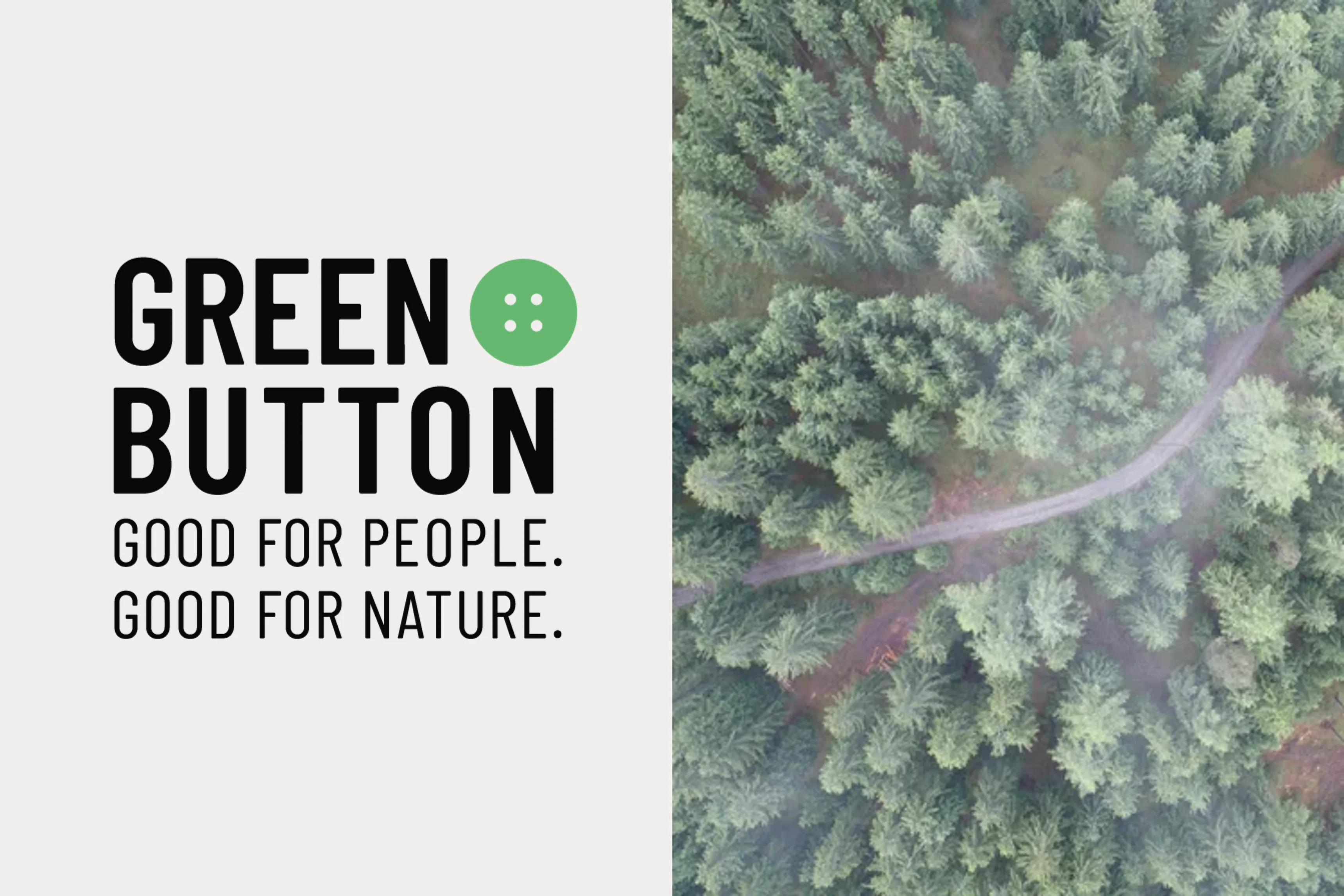 green button, good for people, forest, tree, path
