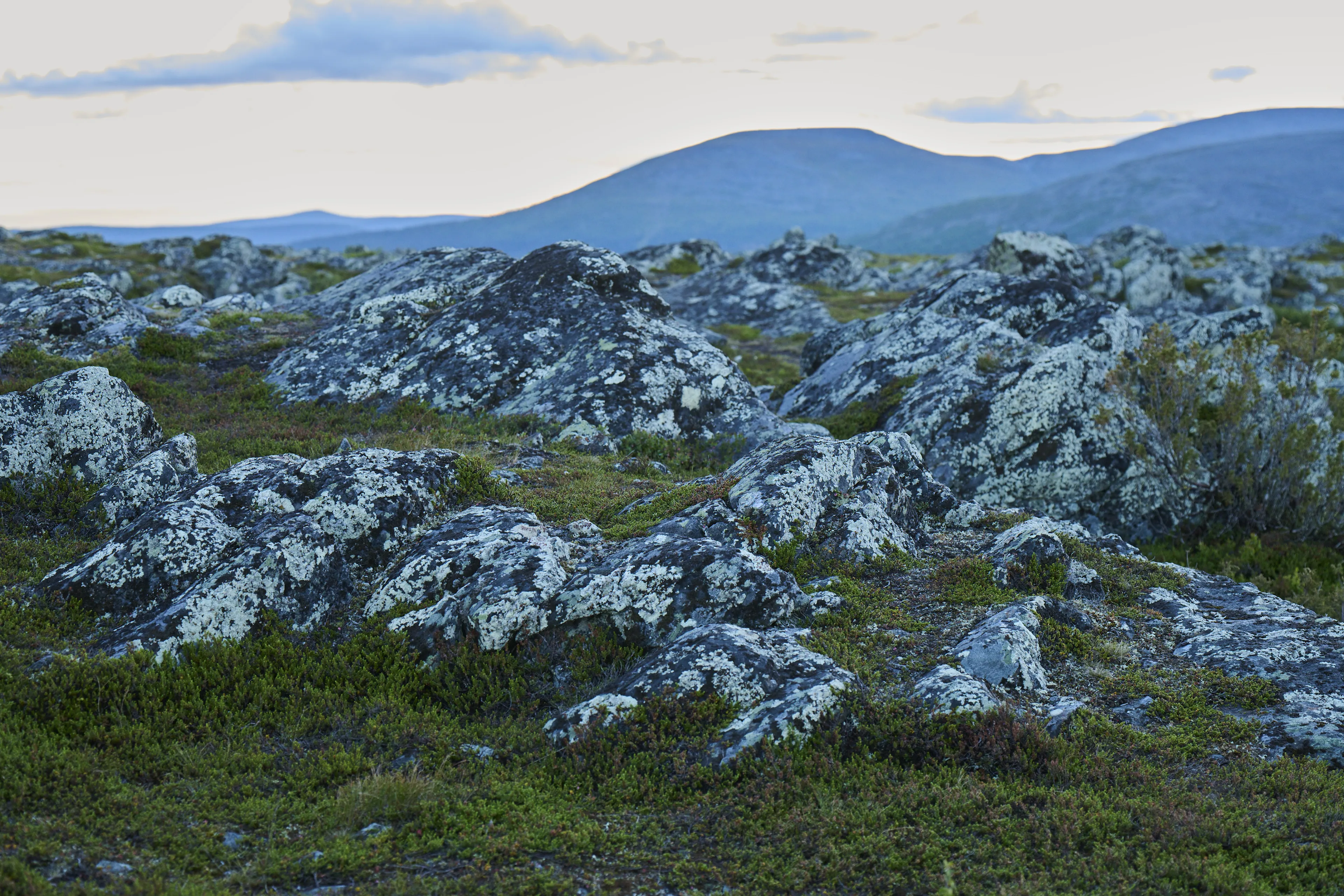 rocky terrain, granite rocks, lichen-covered, mountain landscape, barren foreground