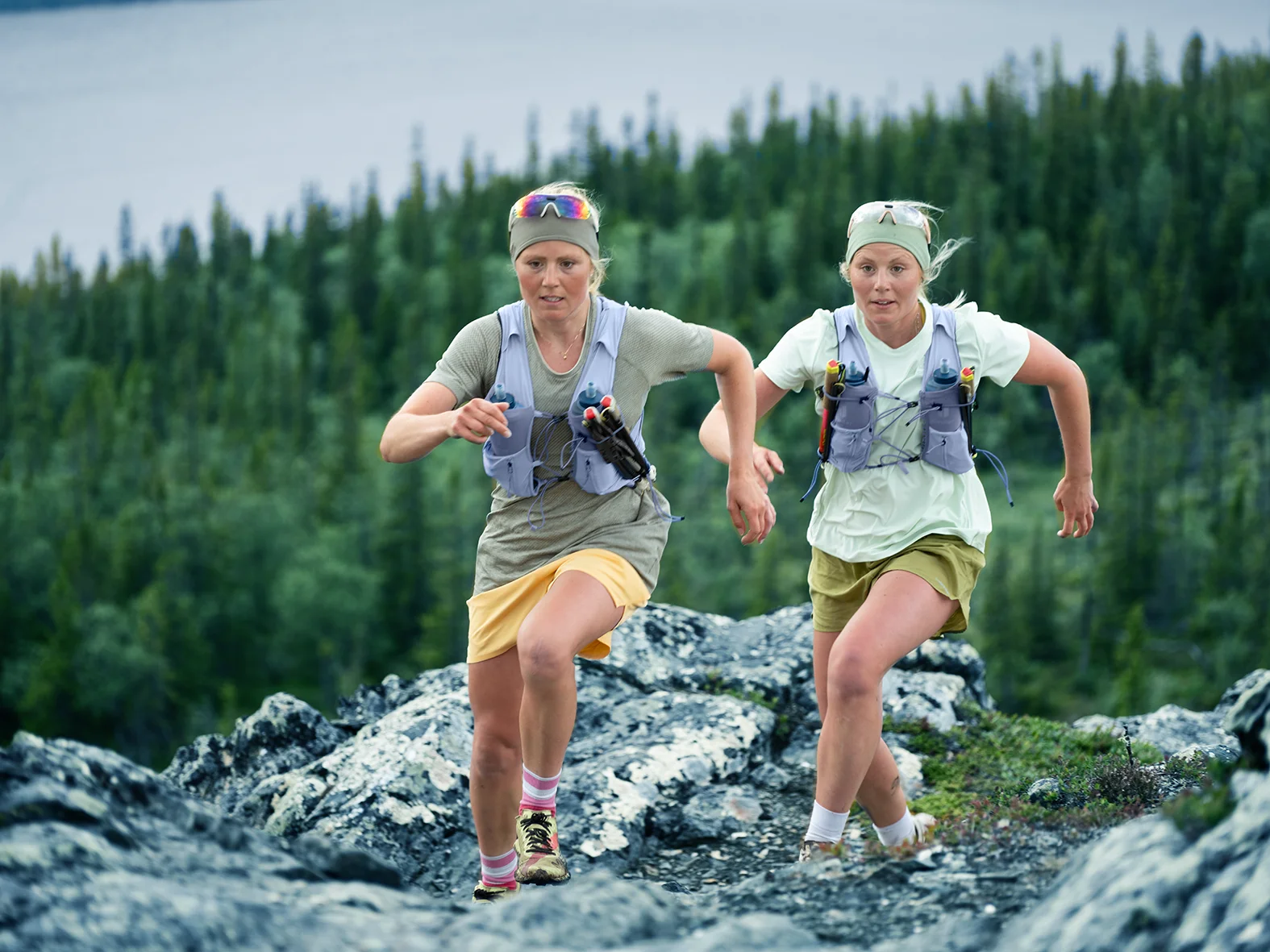 Shorts, Hiking, Rock, Vegetation, Tree