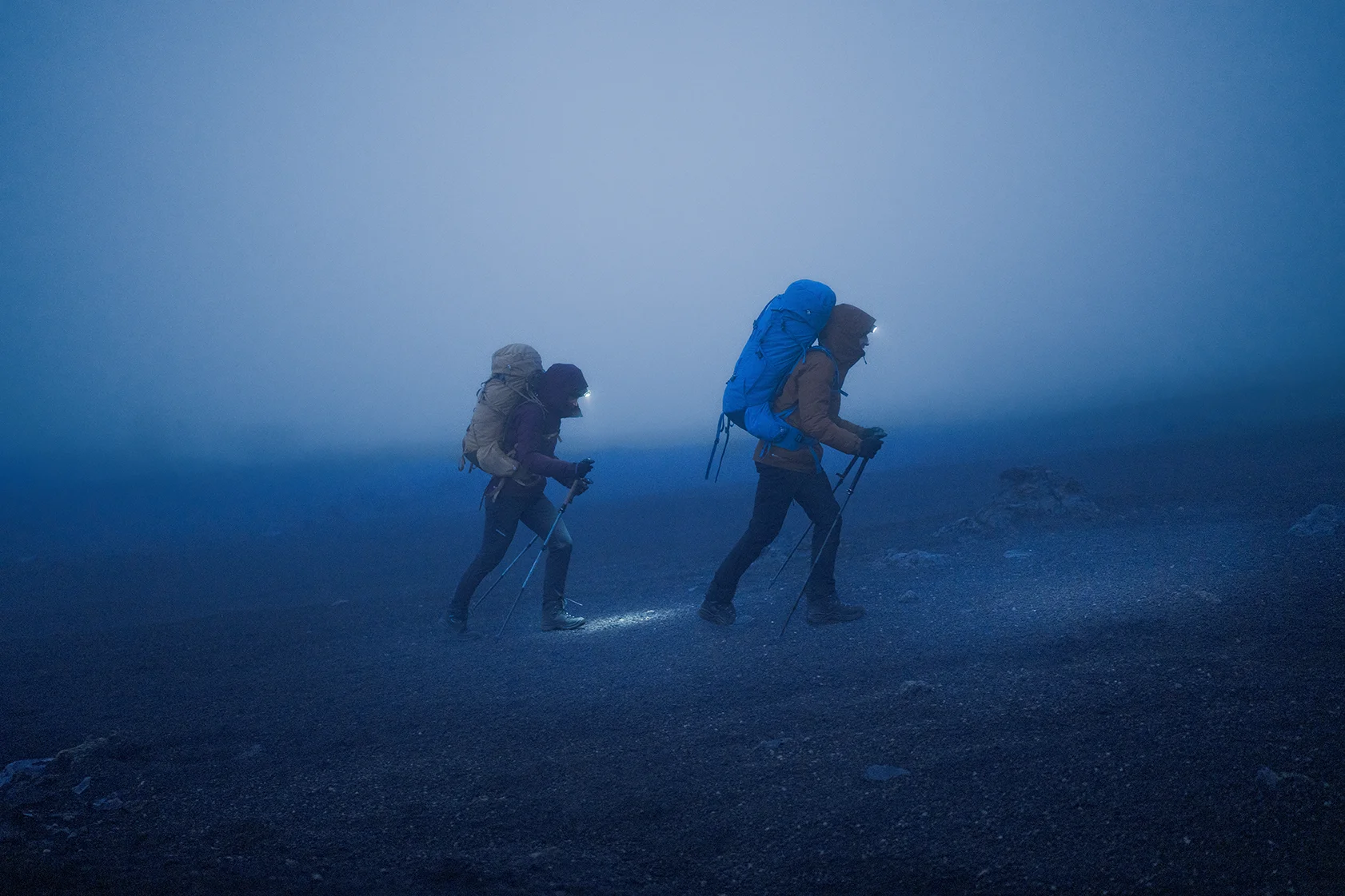 Bag, Adult, Male, Man, Person