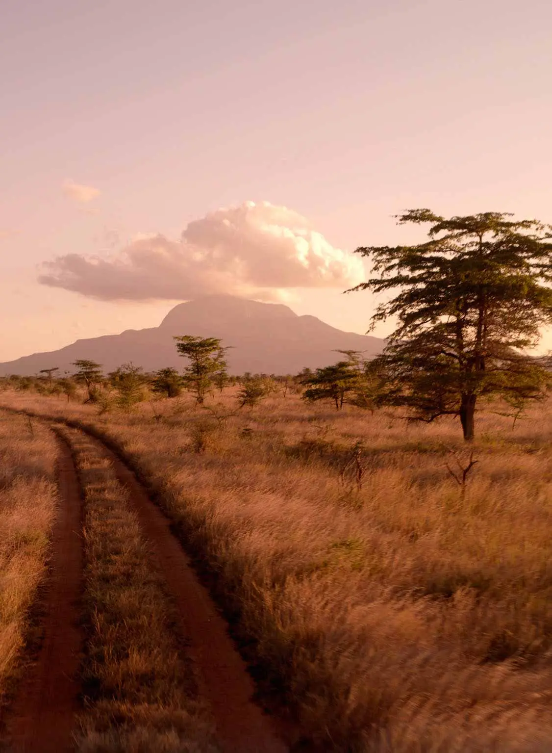 Grassland, Landscape, Savanna, Sky, Path