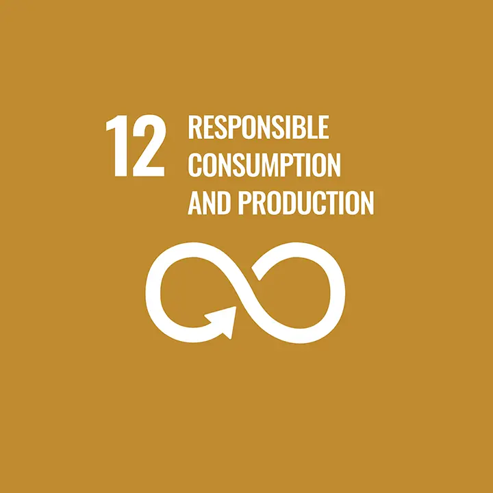 sdg_angepasst fr deuter_0013_E-WEB-Goal-12 sustainable, global, goals, SDG, growth