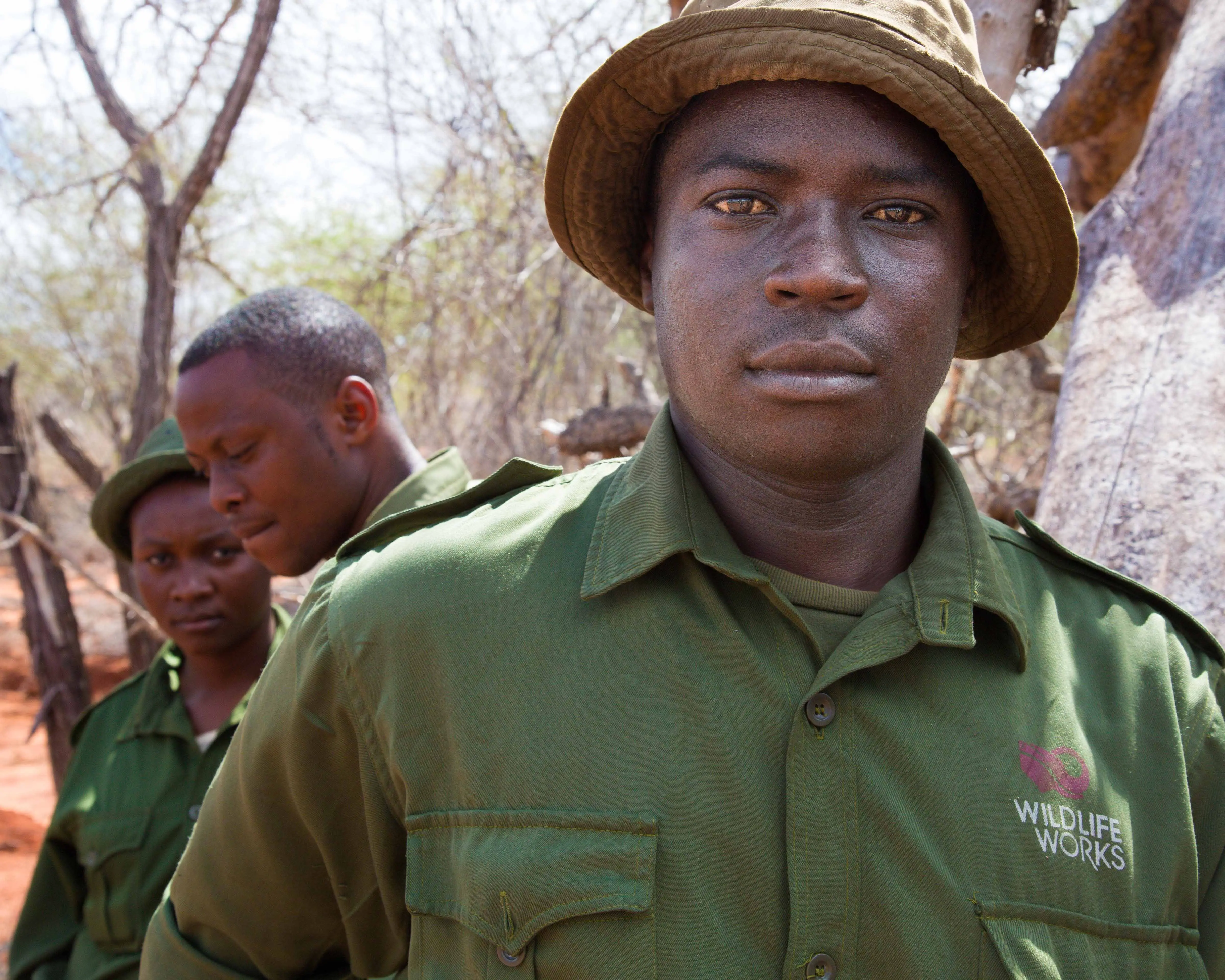 Military, Military Uniform, Person, Soldier, Army