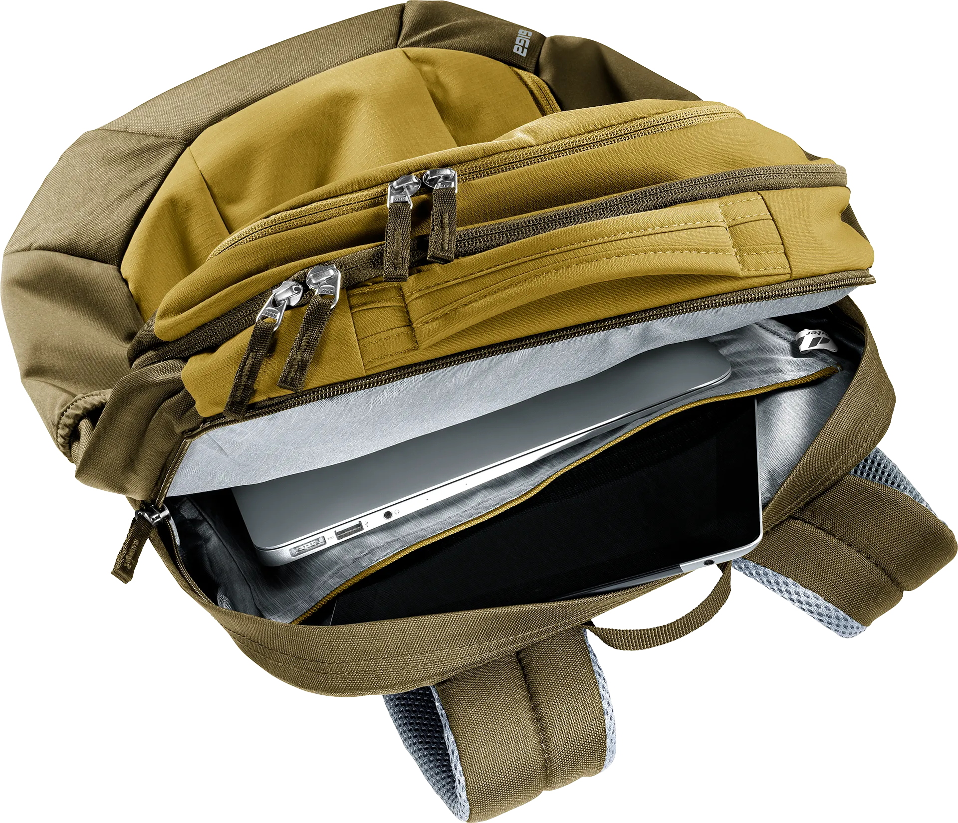 Giga - Lifestyle backpacks - kelp nori