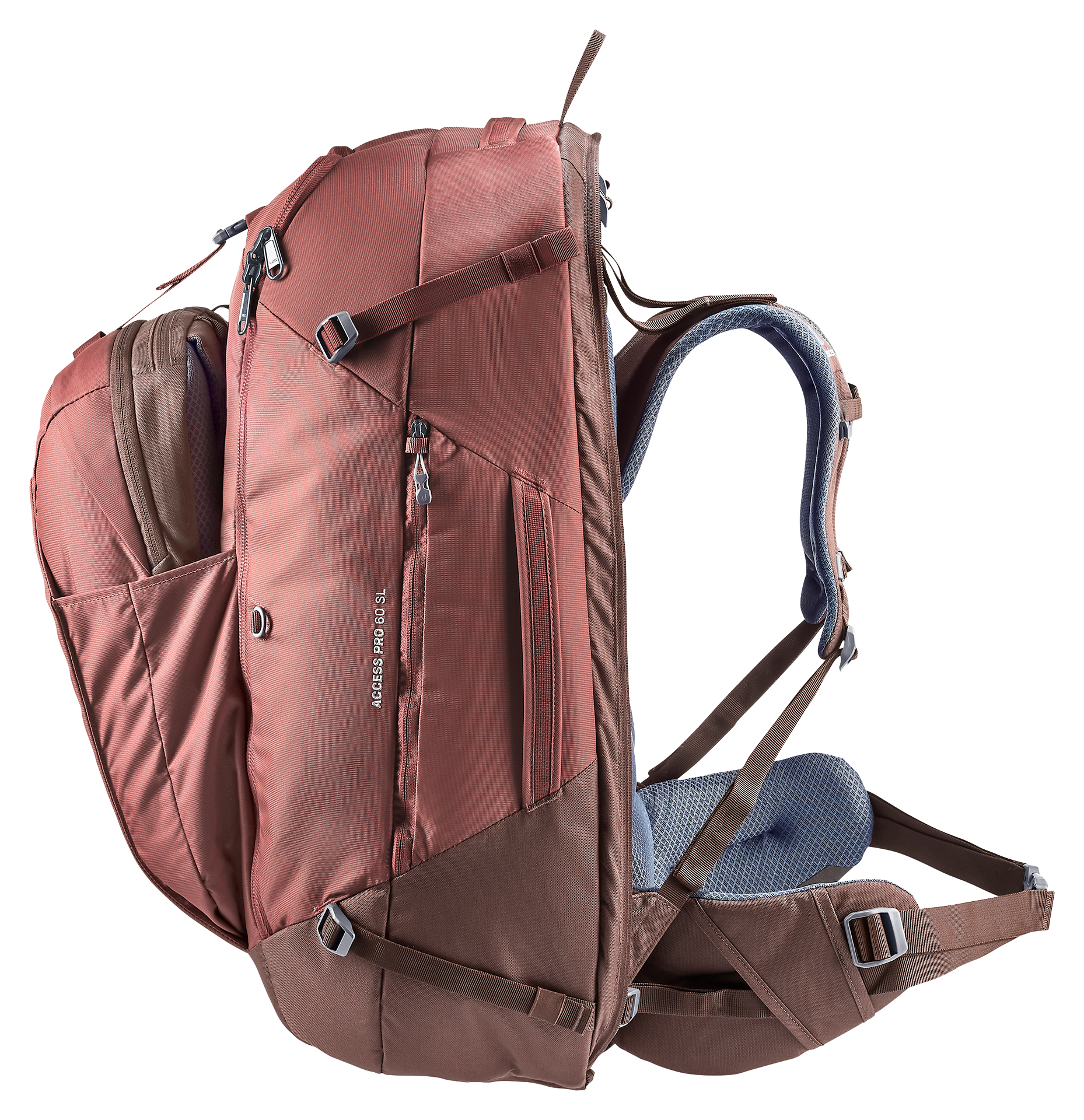 Access Pro 60 SL Access Pro 60 SL - Travel backpacks - caspia raisin