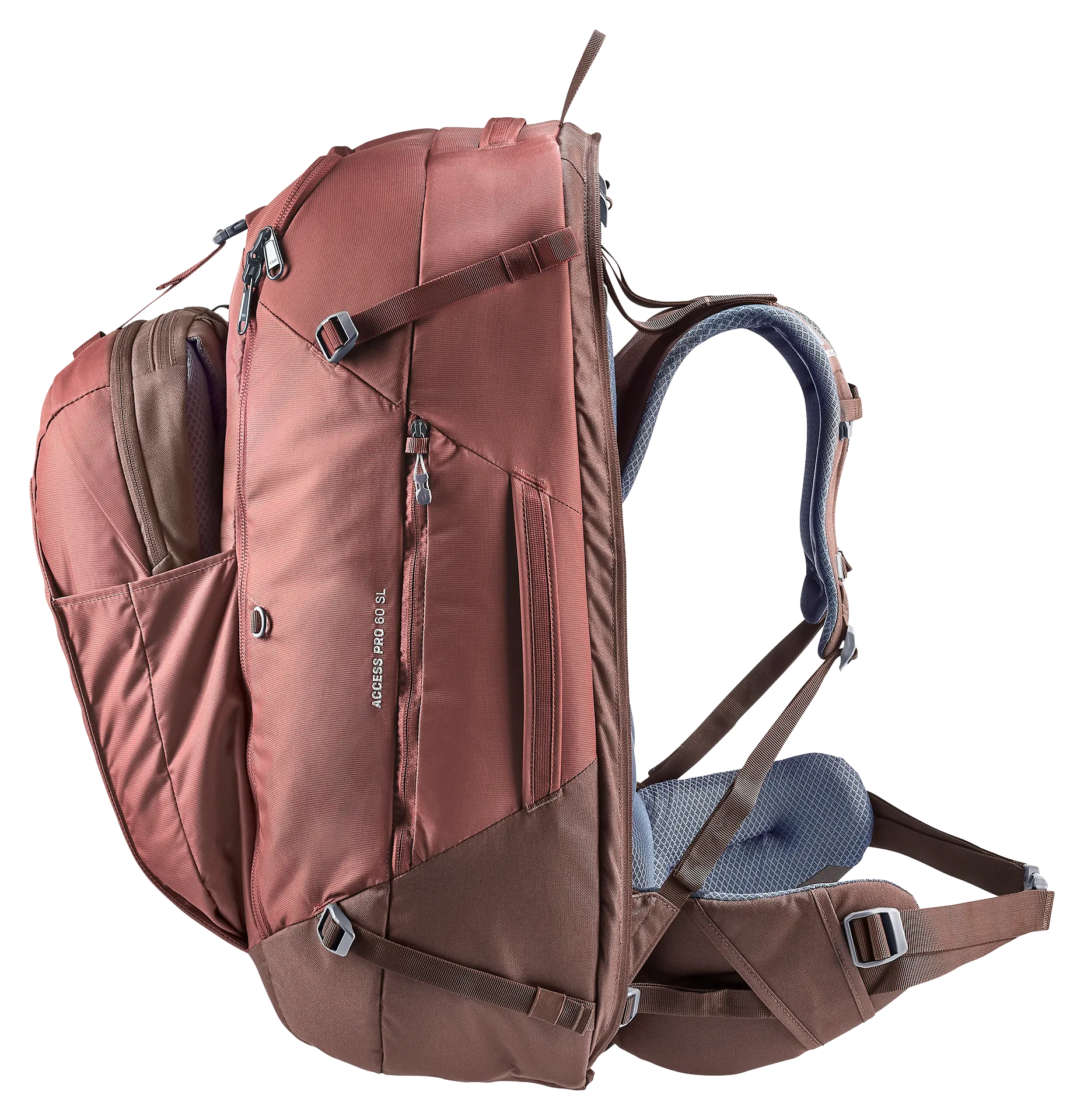 Access Pro 60 SL - Travel backpacks - caspia raisin