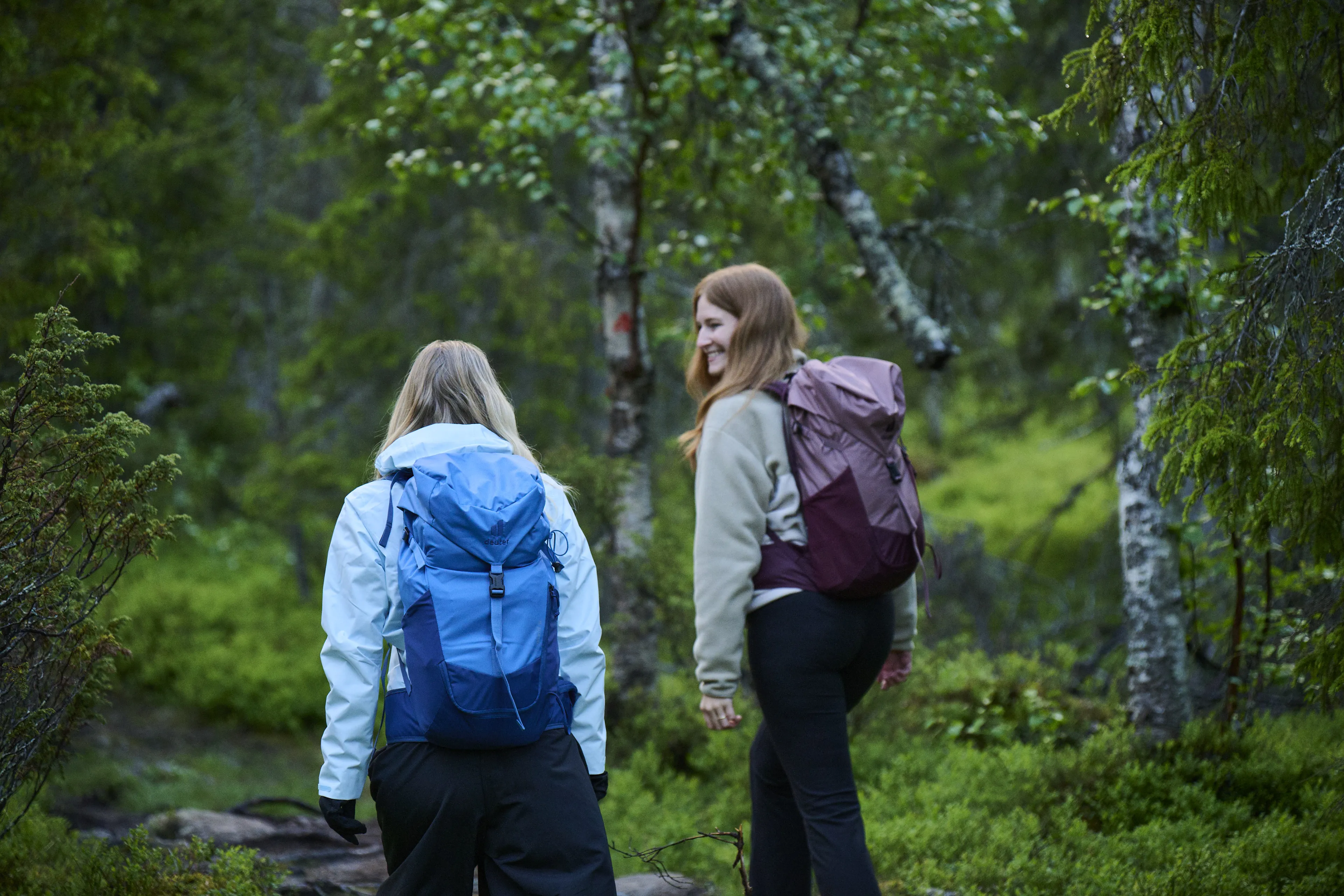 backpacks, hiking, outdoors, forest, travelers