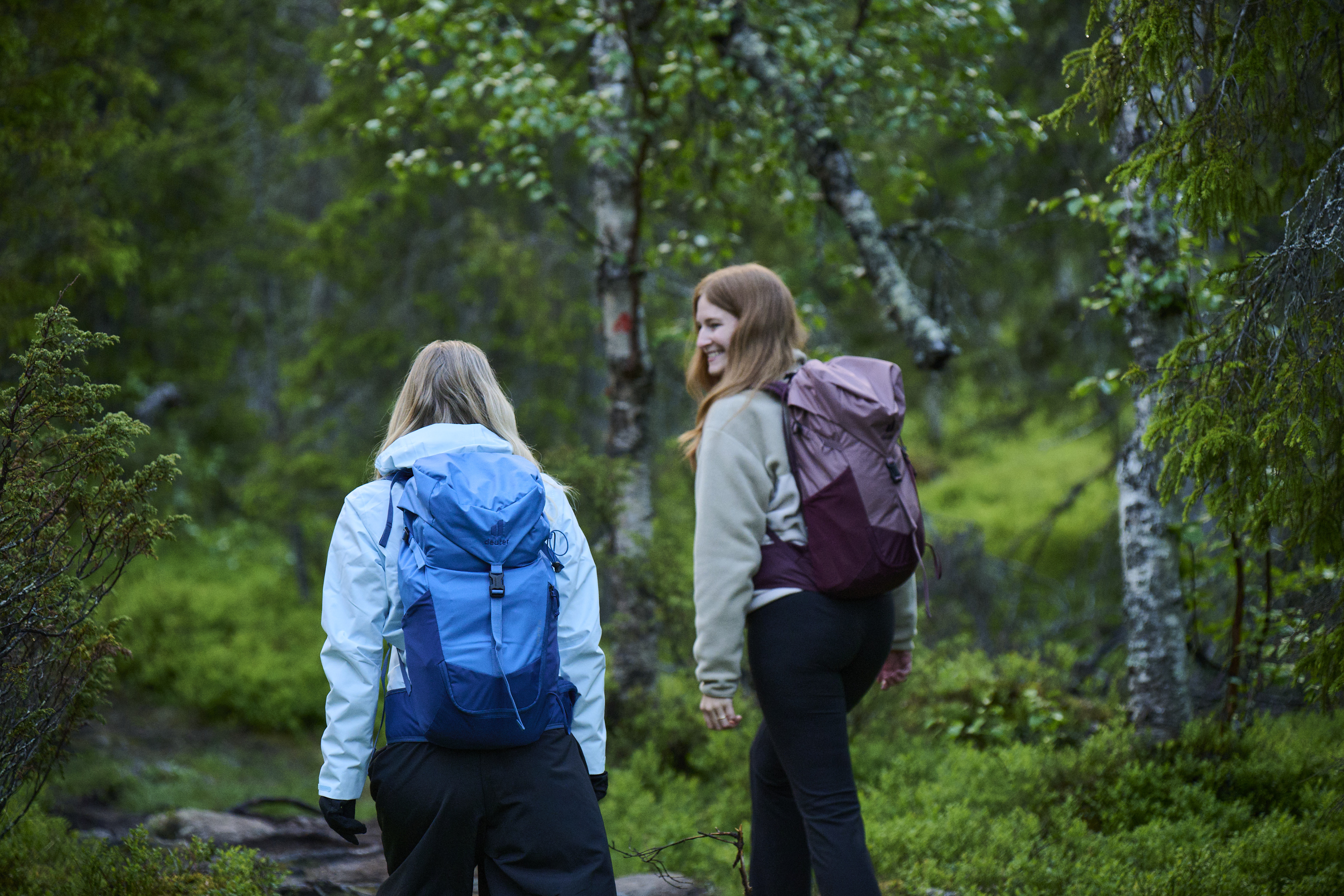 backpacks, hiking, outdoors, forest, travelers