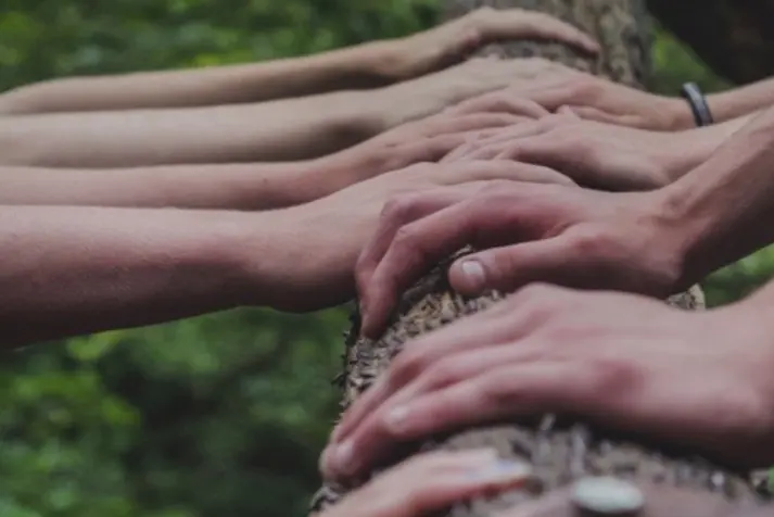 SDG_17_Partnerschaften hands, tree, wood, human, colleagues