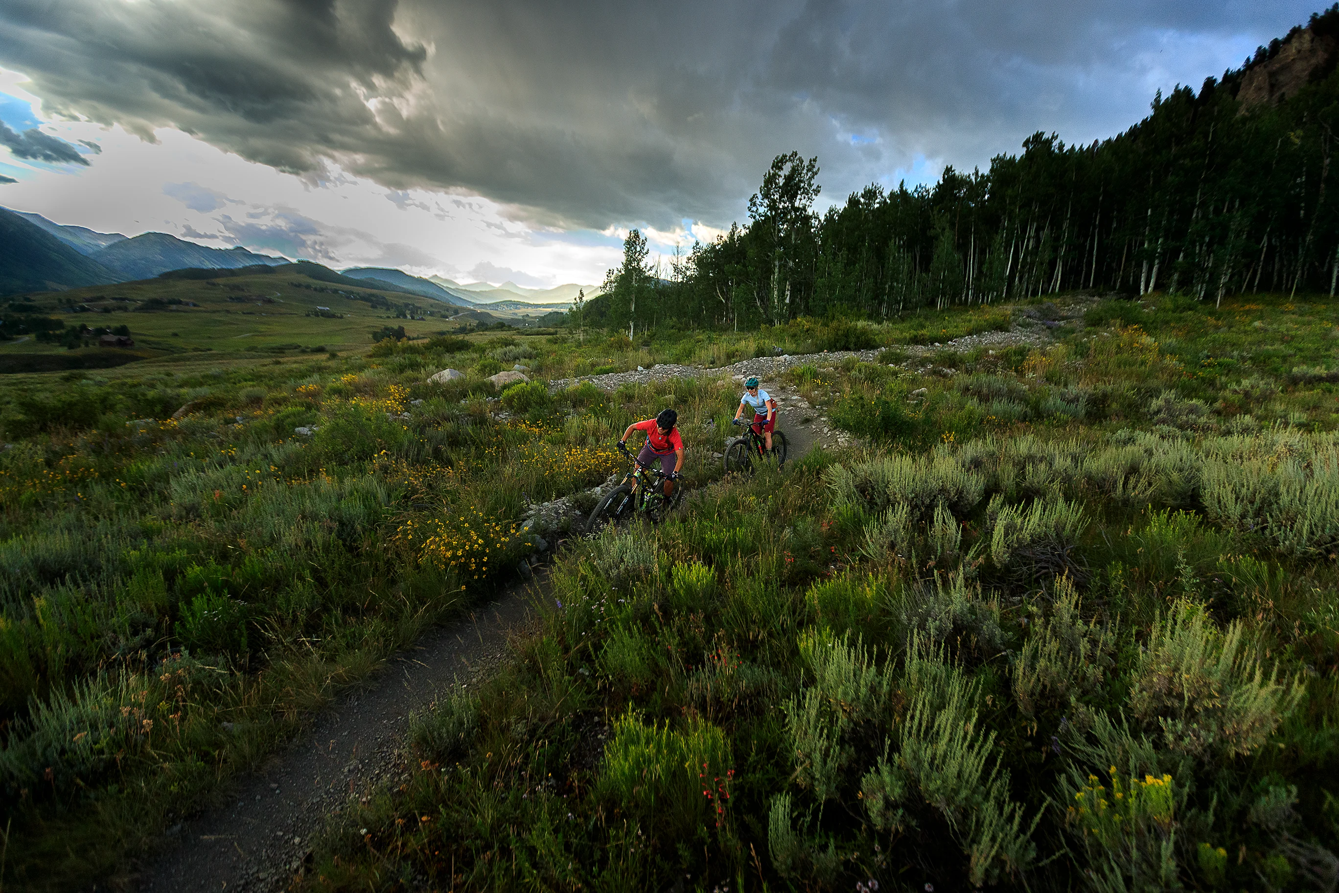 Bike_Pulse_Sideshot-27_Emily_Tidwell