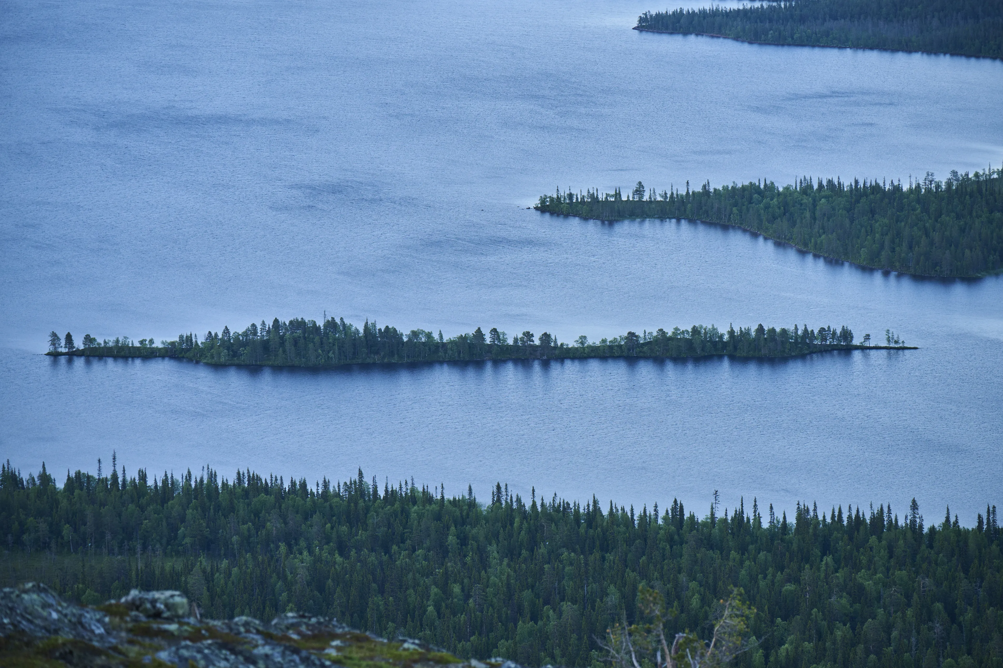 lake, islands, trees, water, landscape