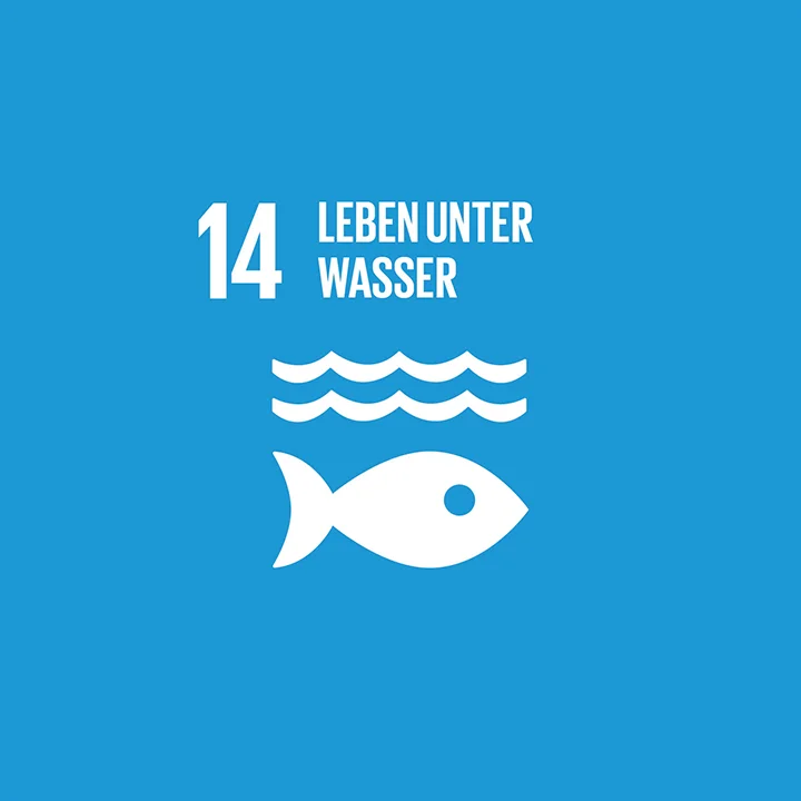 sustainable_development_goal, ocean_wellbeing, fish, water, blue_background