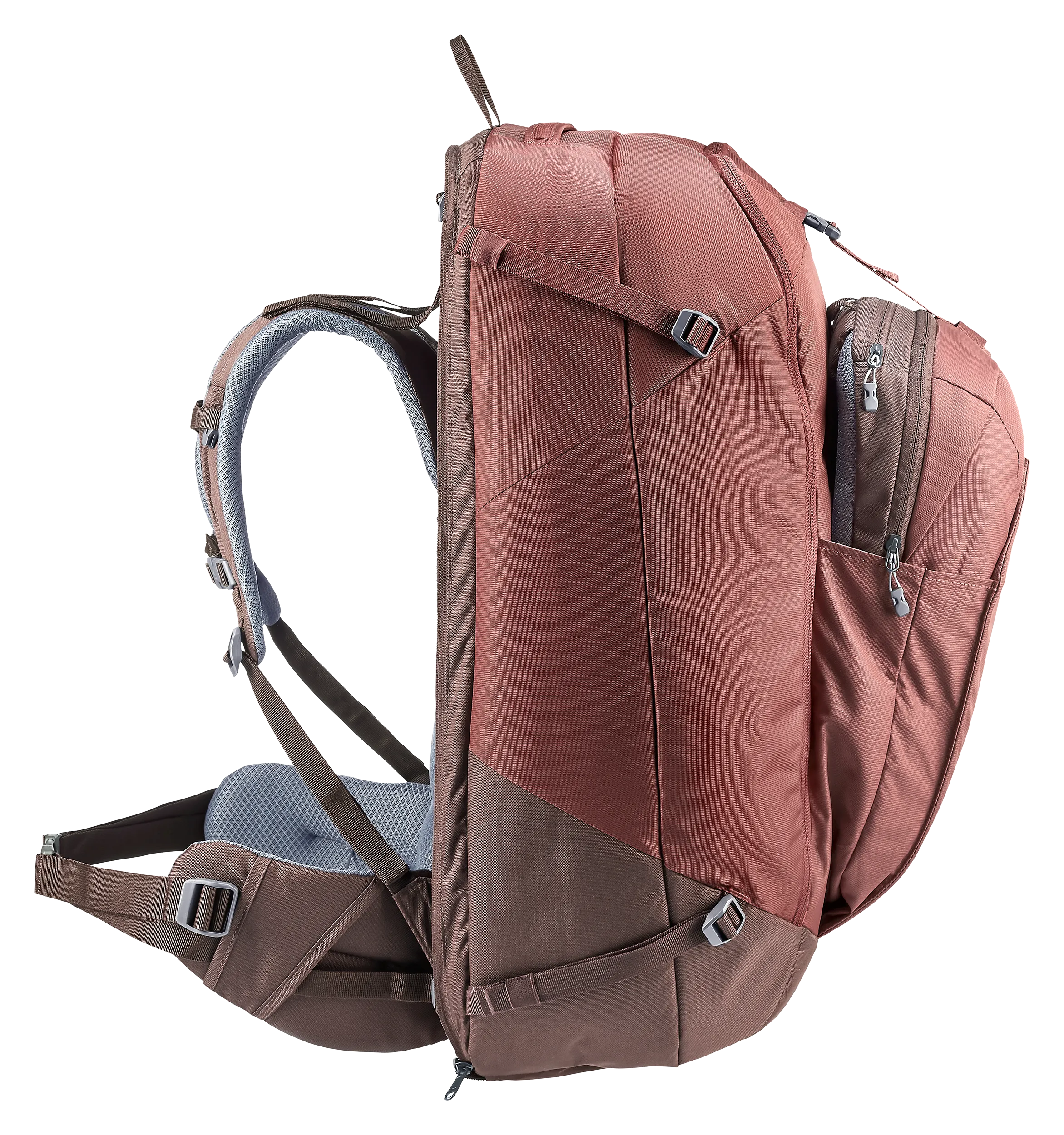 Access Pro 60 SL - Travel backpacks - caspia raisin