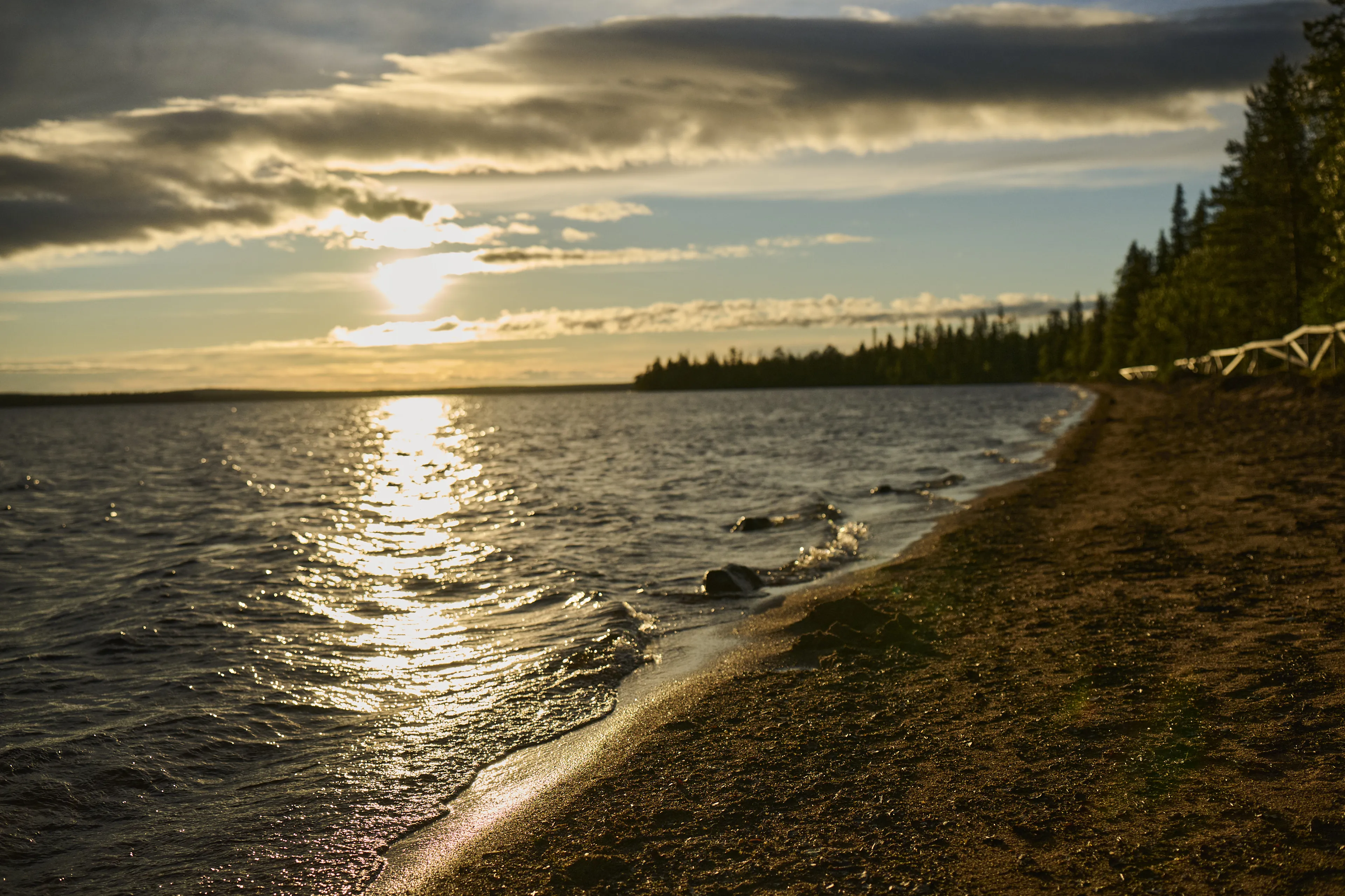 beach, shore, sunset, water, trees
