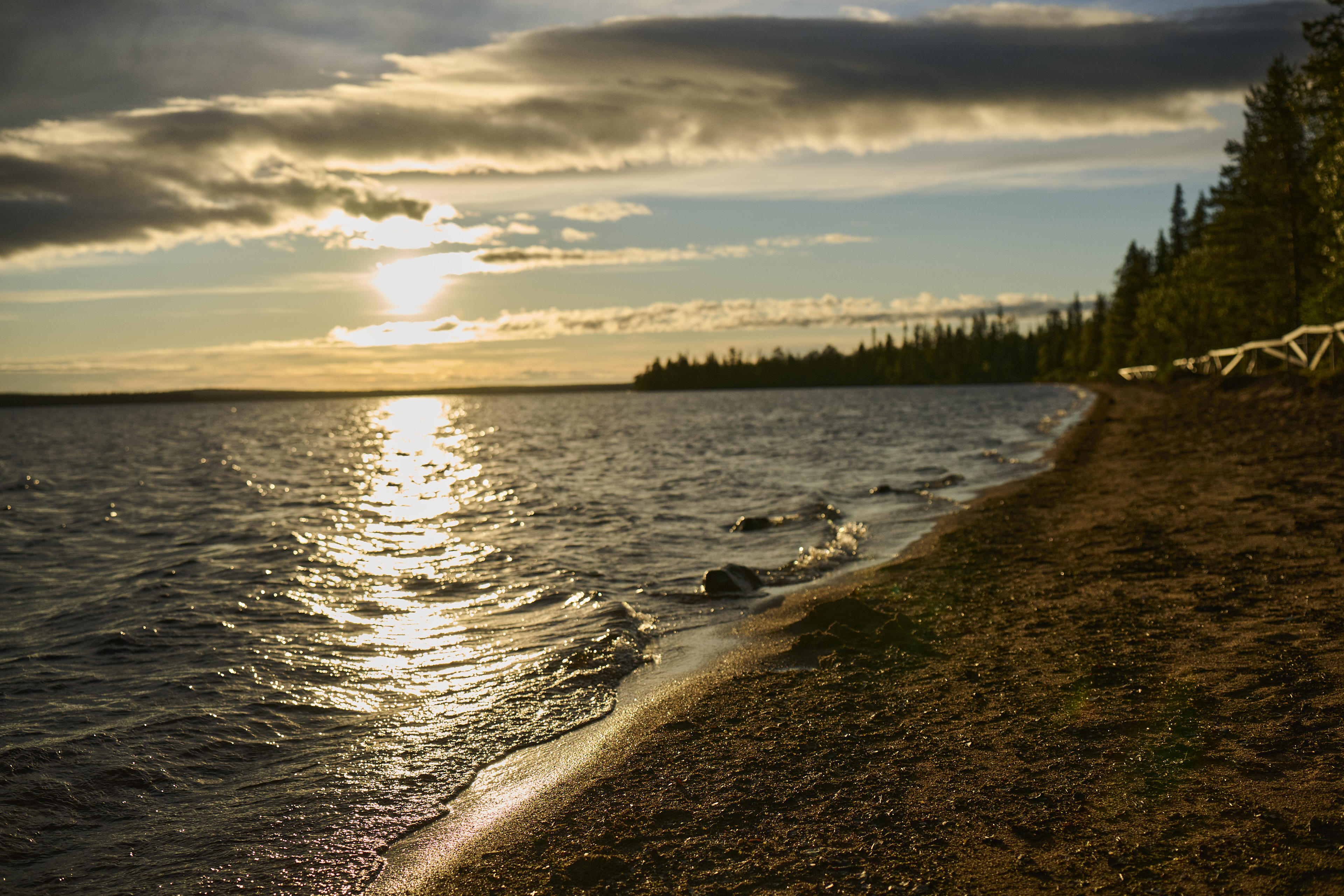 beach, shore, sunset, water, trees
