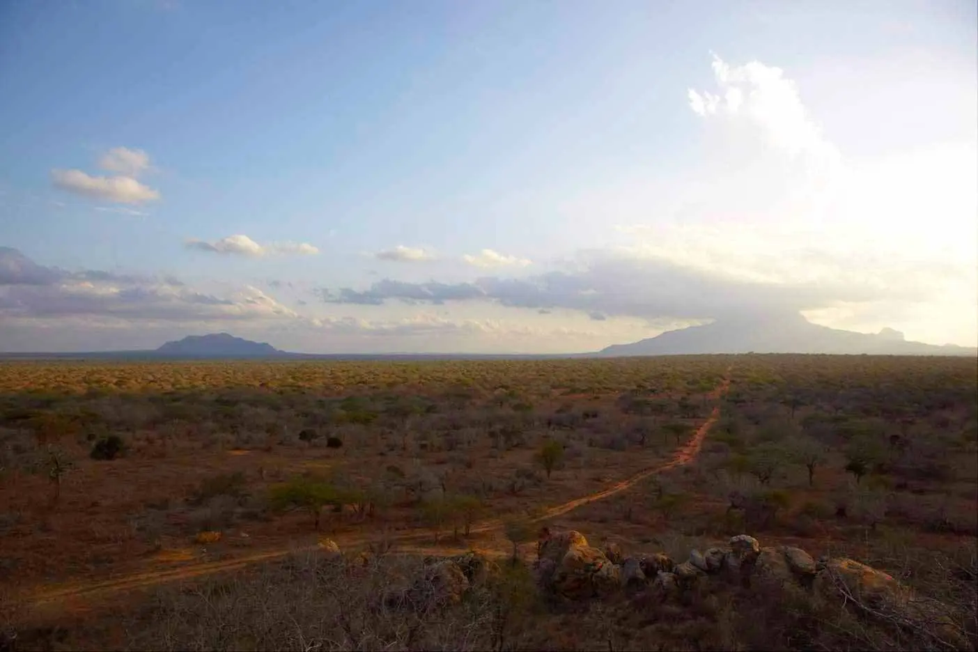 Nature, Outdoors, Sky, Ground, Land