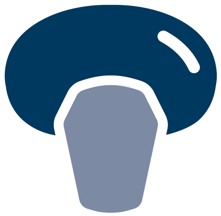 LATEST AIRBAG TECHNOLOGY FOR MORE SAFETY