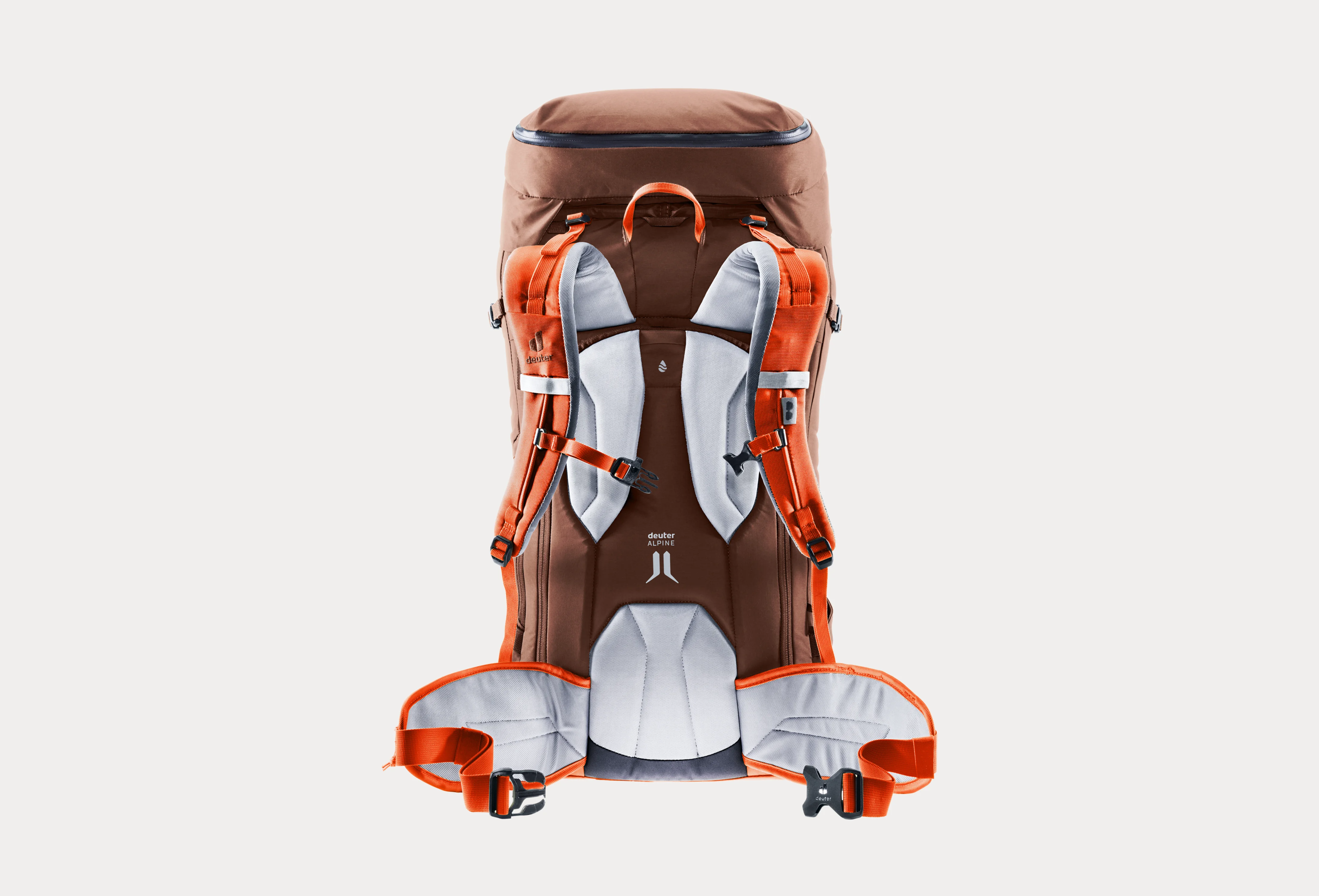 deuter-Alpine-Back