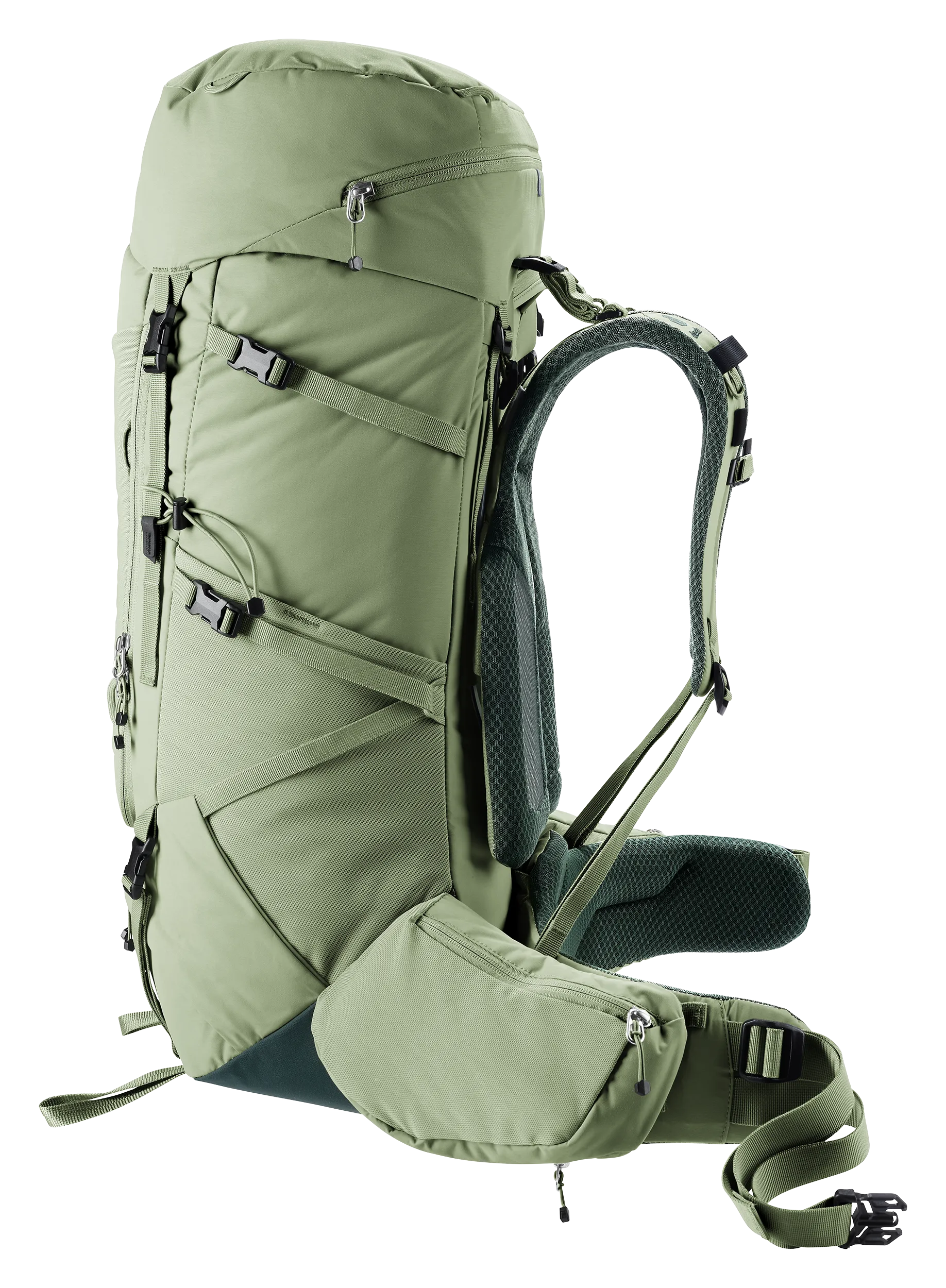 Aircontact Core 45+10 SL - Travel backpacks - grove ivy