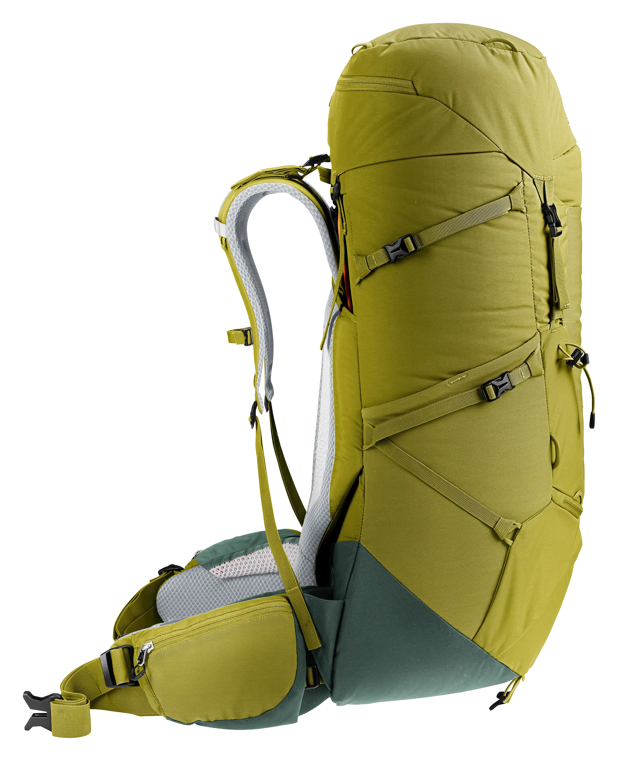Aircontact Core 50+10 - Backpacking packs - cactus ivy