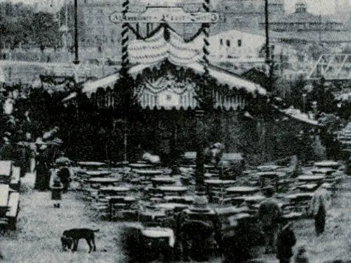 Dog, Pet, Circus, Leisure Activities, Person