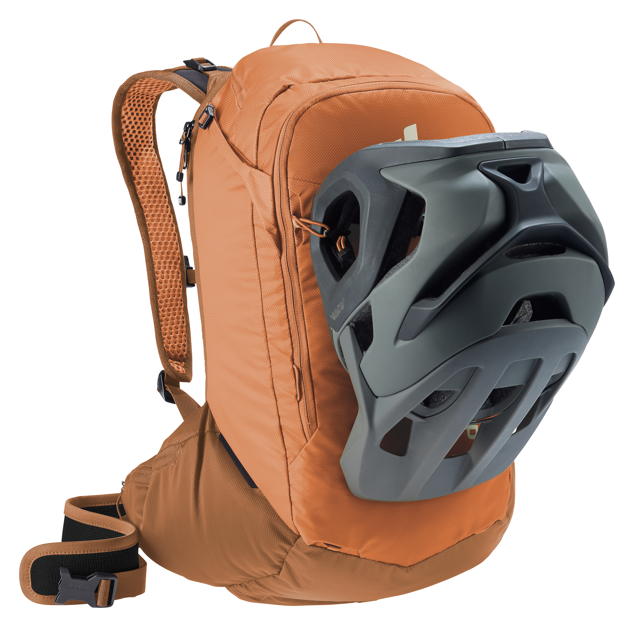 deuter attack 20 protector backpack : Sports & Outdoors Attack 20