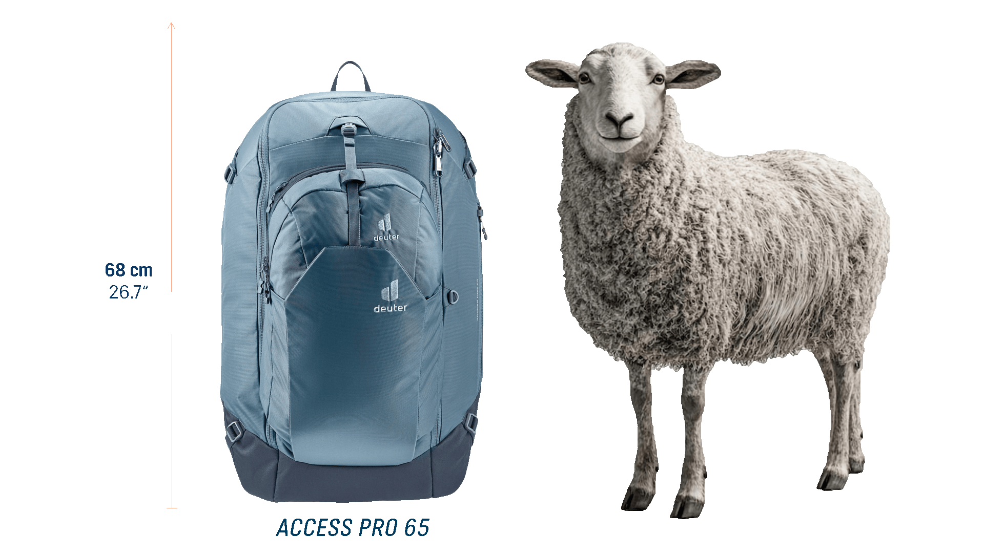 from-51-liters-Comparison