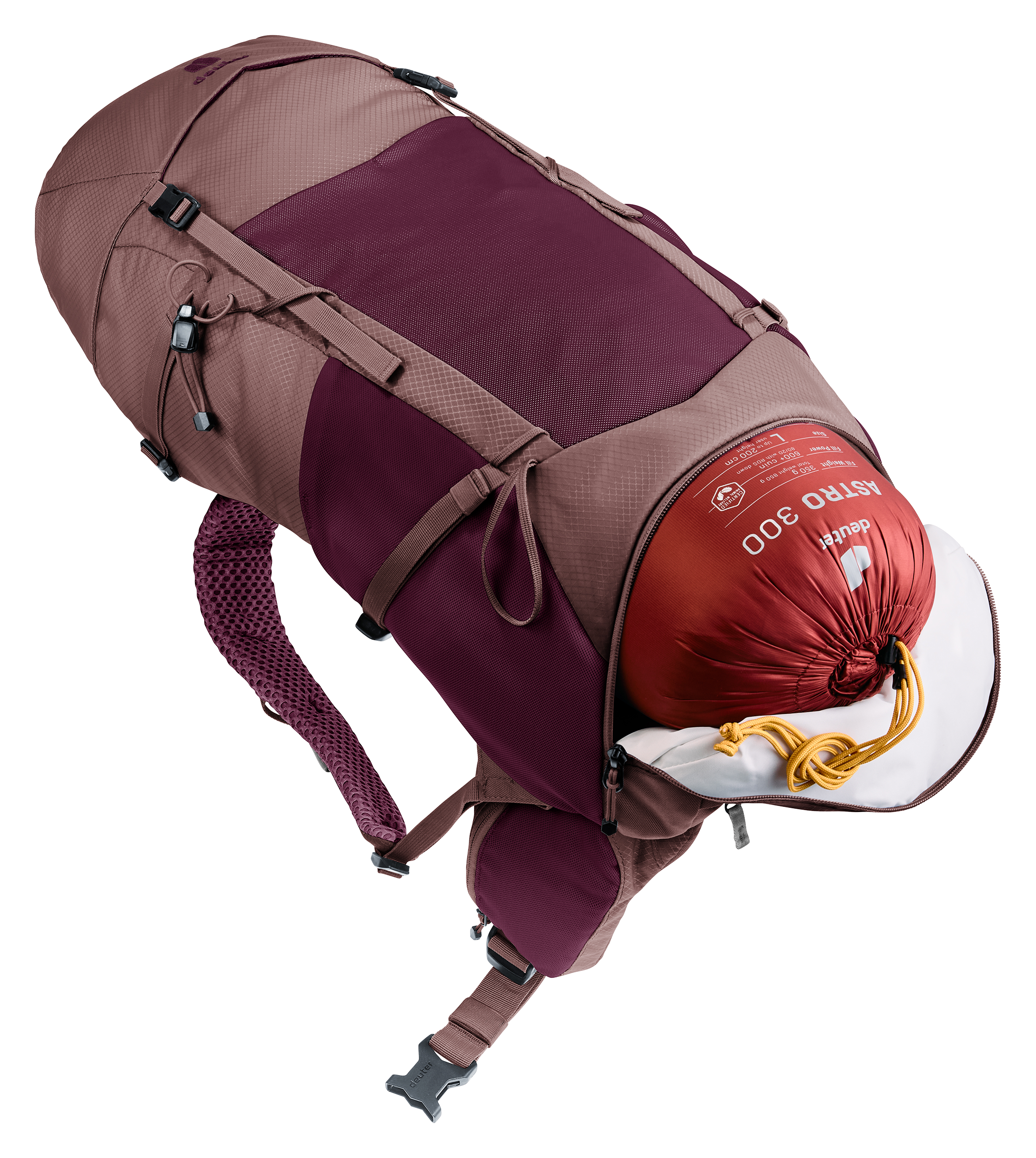 Futura 30 SL | cassis-ashrose | M | 4046051185286