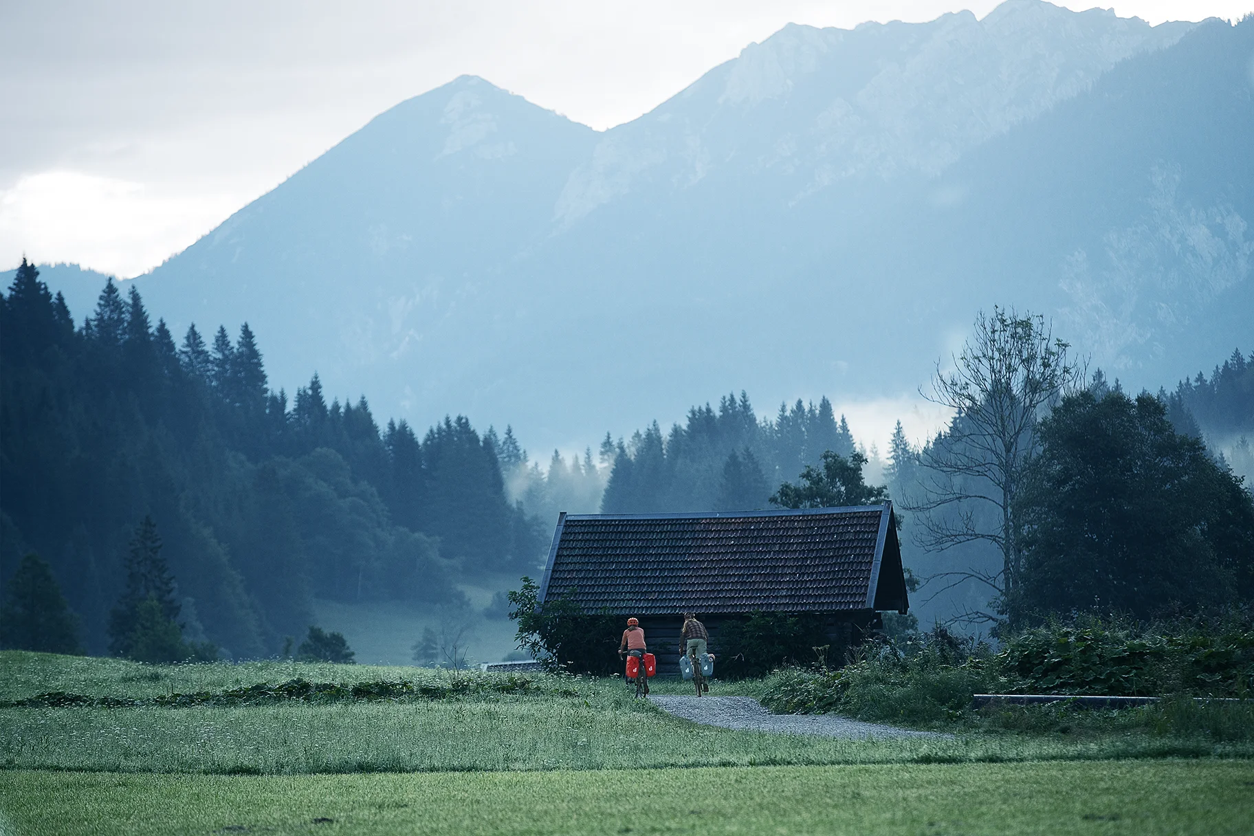 Outdoors, Shelter, Hut, Nature, Fir
