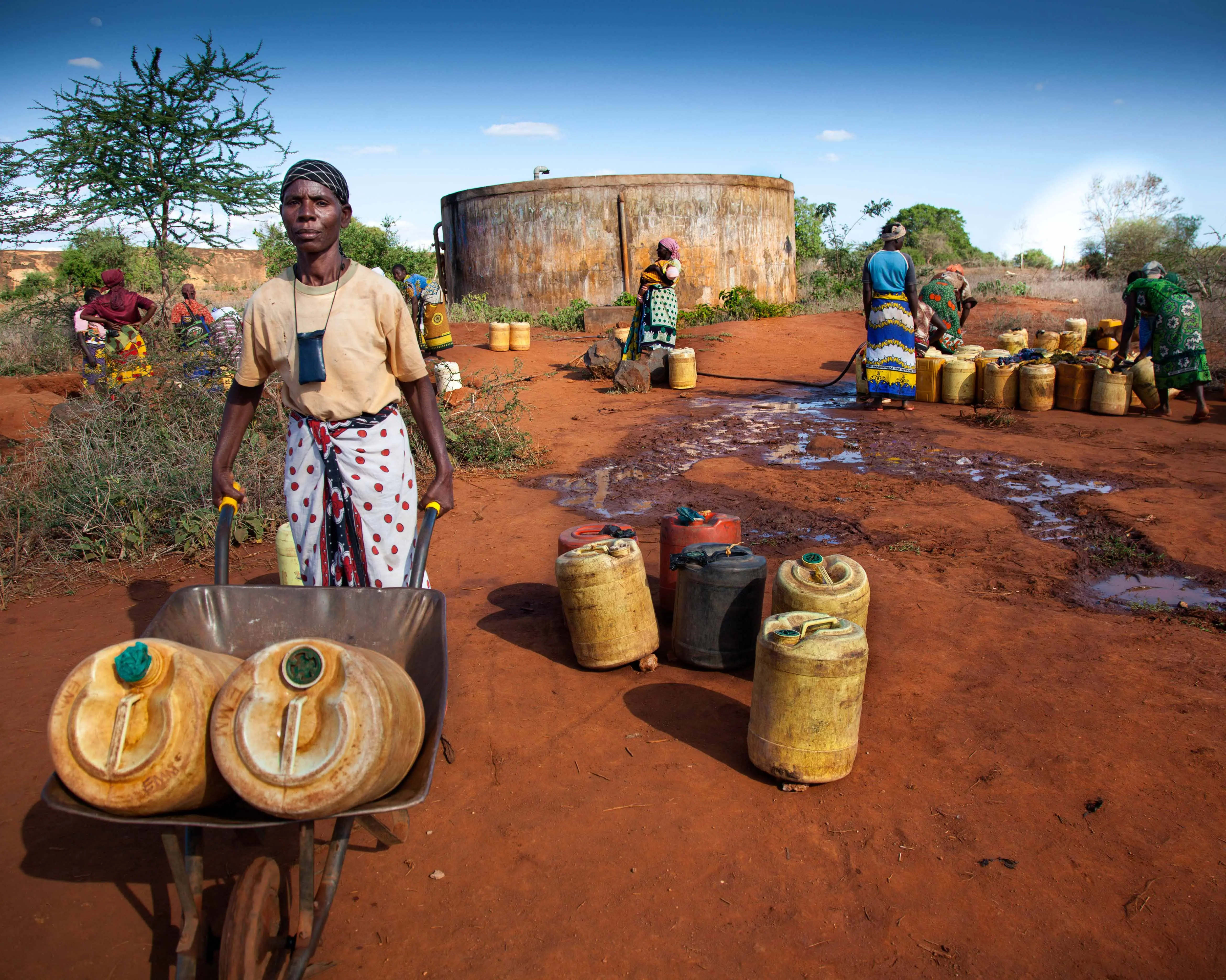 Cookware, Pot, Person