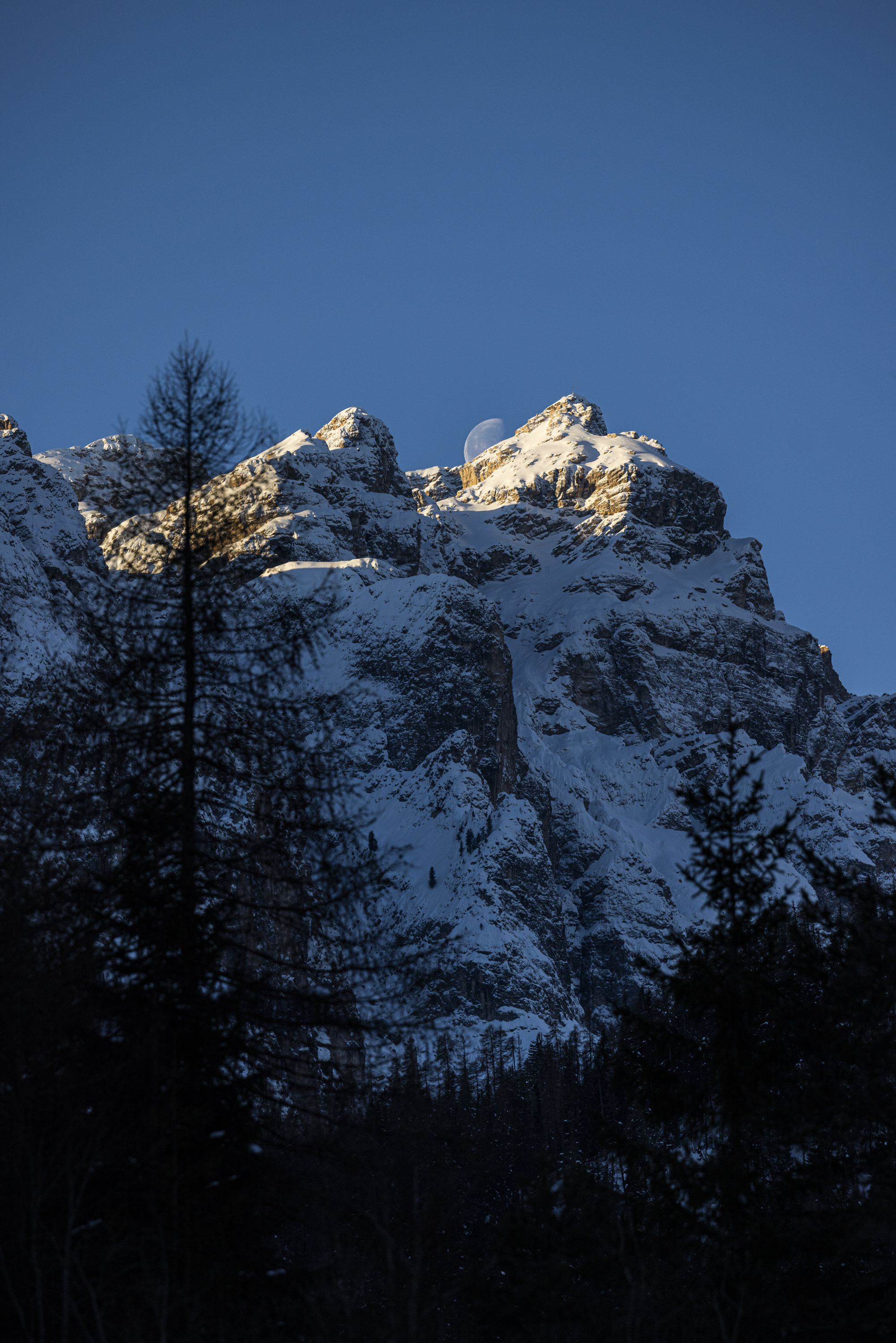snow-covered mountain, alpine landscape, evergreen forest, blue sky, mountain peak