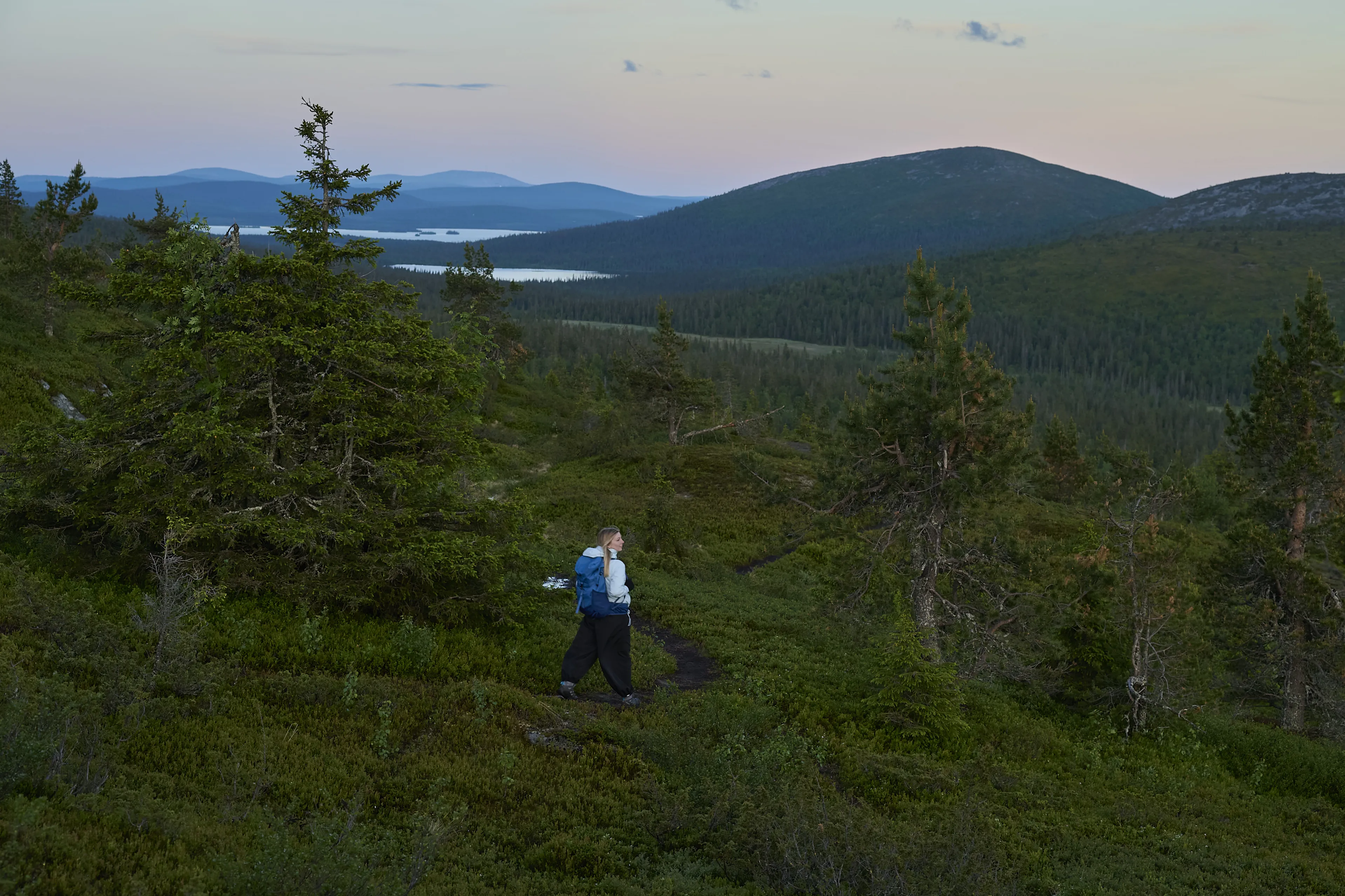 hiker, backpack, outdoor, forest, mountains