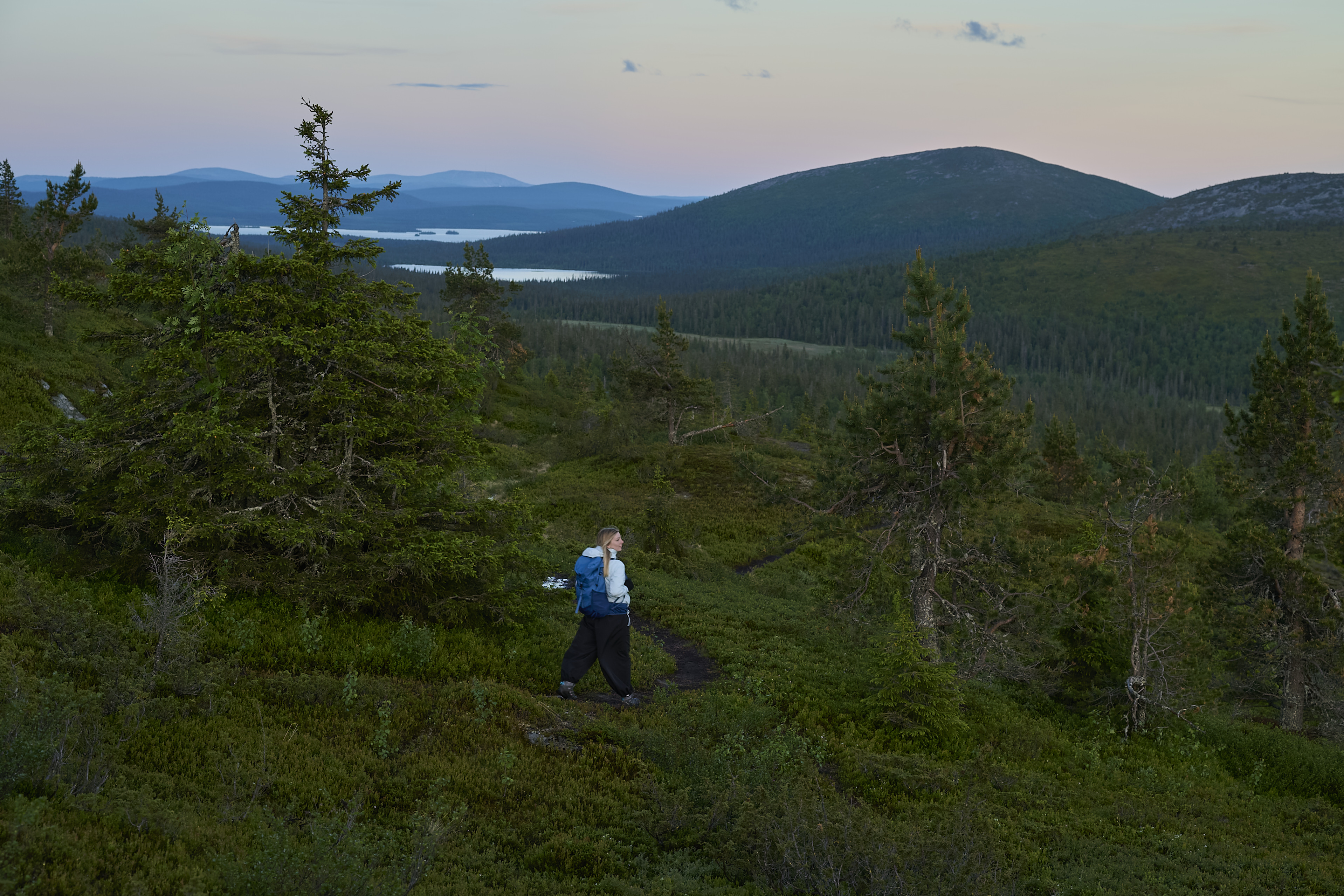 hiker, backpack, outdoor, forest, mountains