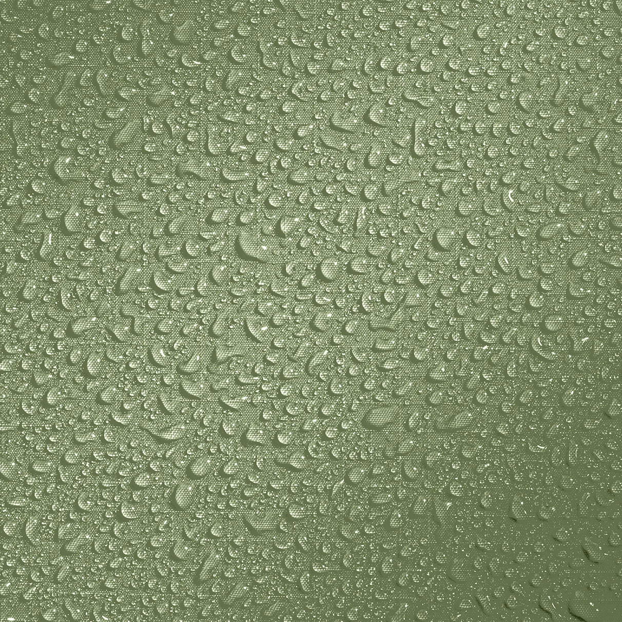 Texture, Droplet, Leaf, Plant, Green