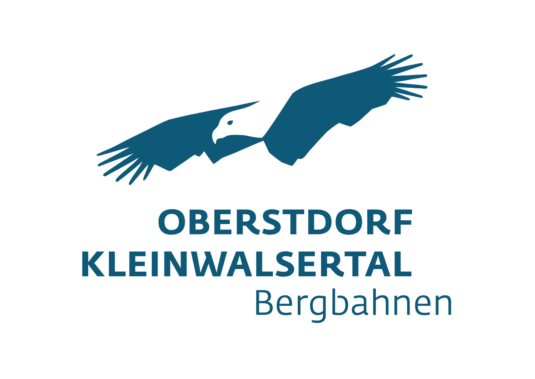 Animal, Bird, Vulture, Flying, Eagle