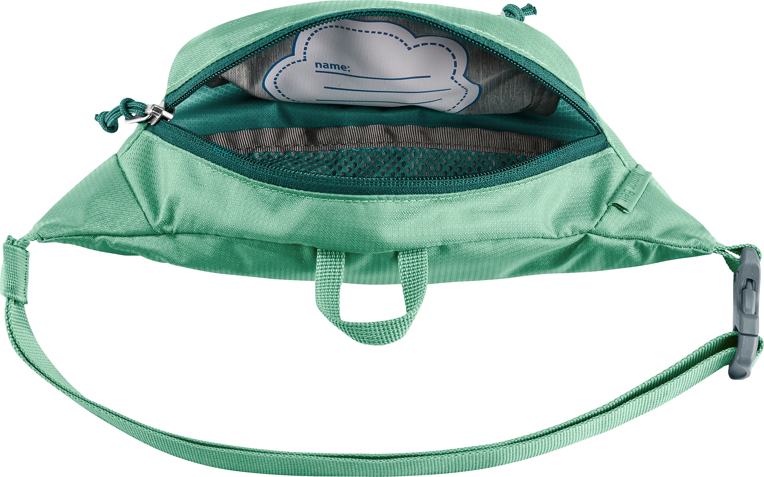 Bag, Handbag, Purse, Hat, Backpack, pouch, green bag, zippered pocket, small backpack, mesh interior